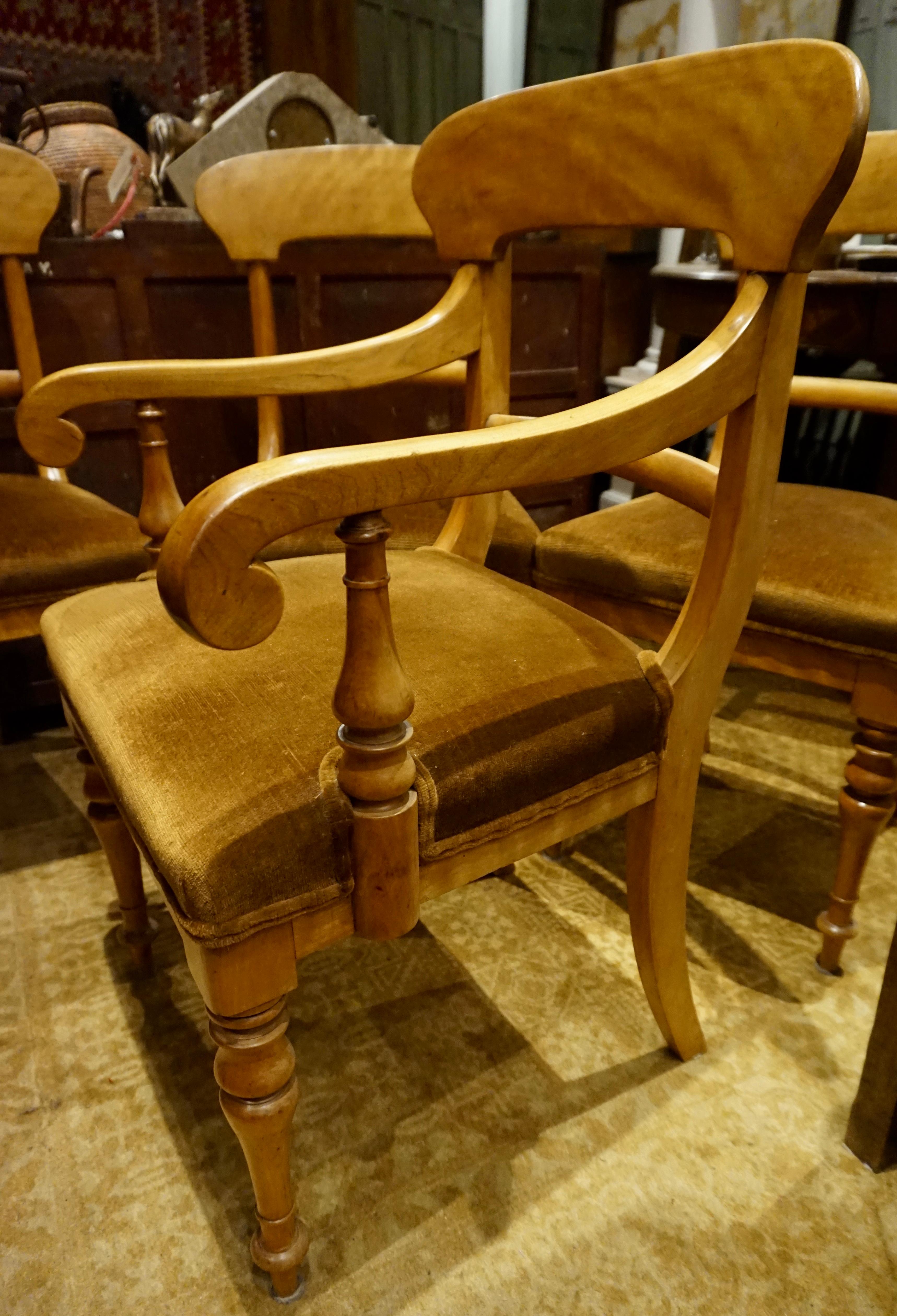 Late 19th Century Set of Four Pearwood Chairs England with Horsehair Upholstery For Sale