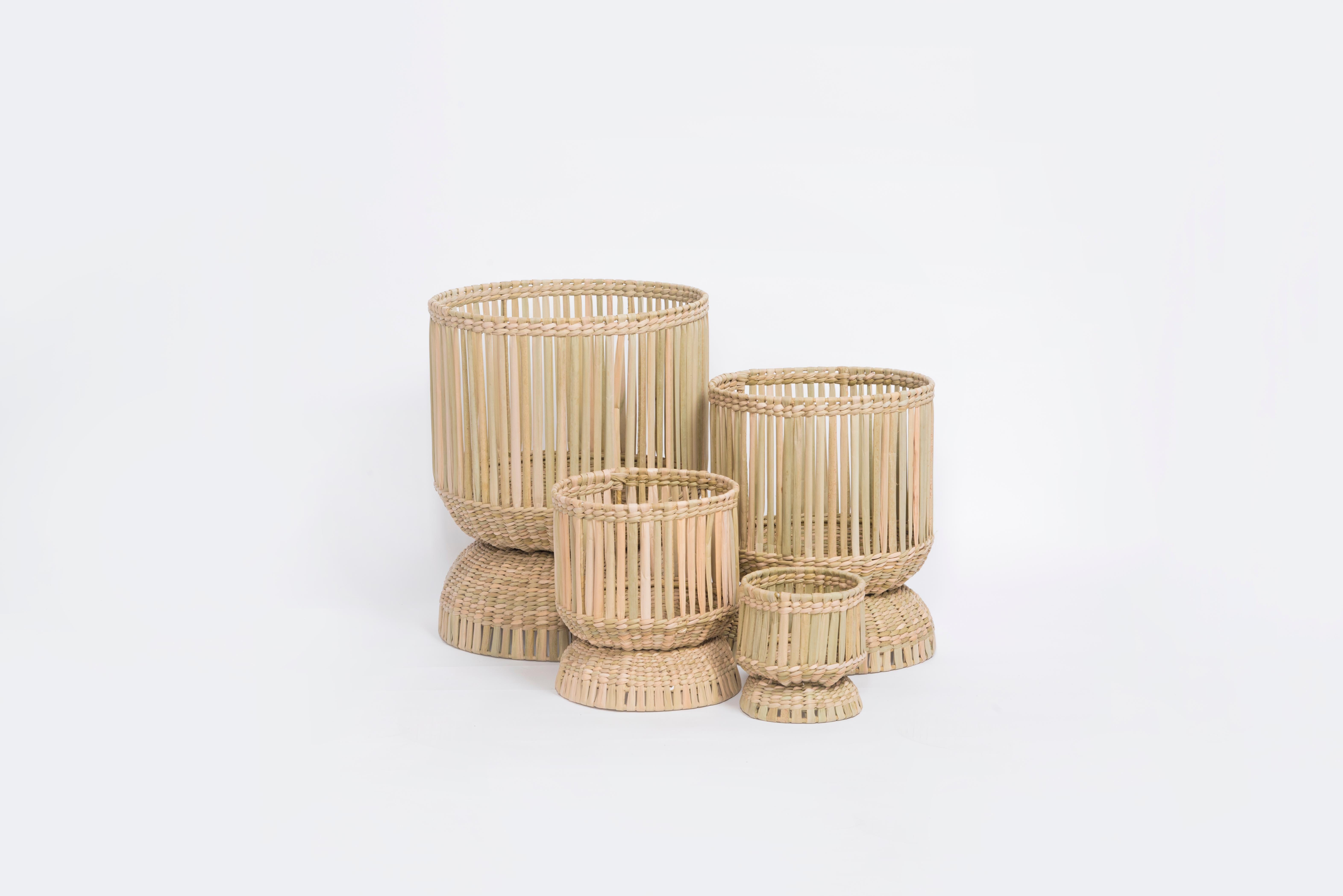 A set of plant pots carefully hand weaved with chuspata natural fiber. The set comes with four plant pots in different sizes 44 x 56 cm, 34 x 43 cm, 28 x 31 cm 
and 18 x 19 cm.

The chuspata is a reed that grows on the shores of the Pátzcuaro