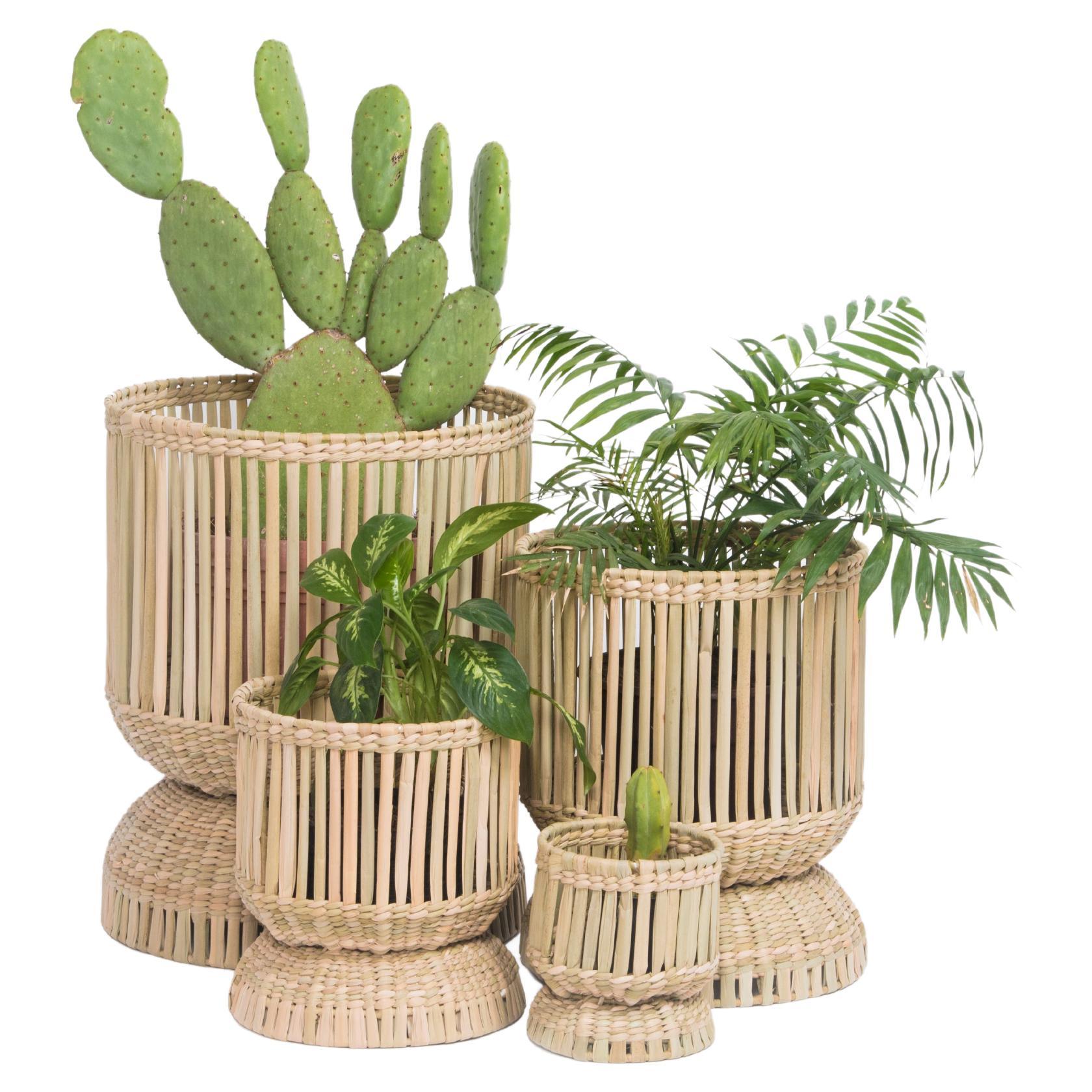 Ensemble de quatre pots à plantes, tissés à la main avec des fibres naturelles  en vente