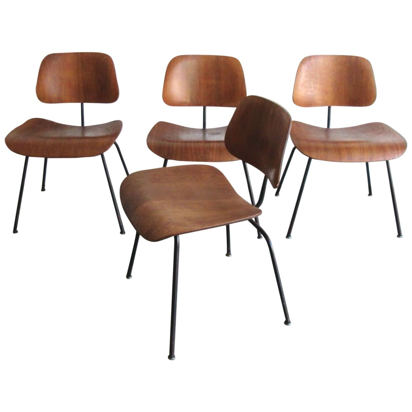 An early example of the walnut plywood Eames DCM chair in a set of four. Produced in 1955 by the Herman Miller Company.  Walnut plywood back and seat with black enameled steel legs. Lovely patina. Wear consistent with age and