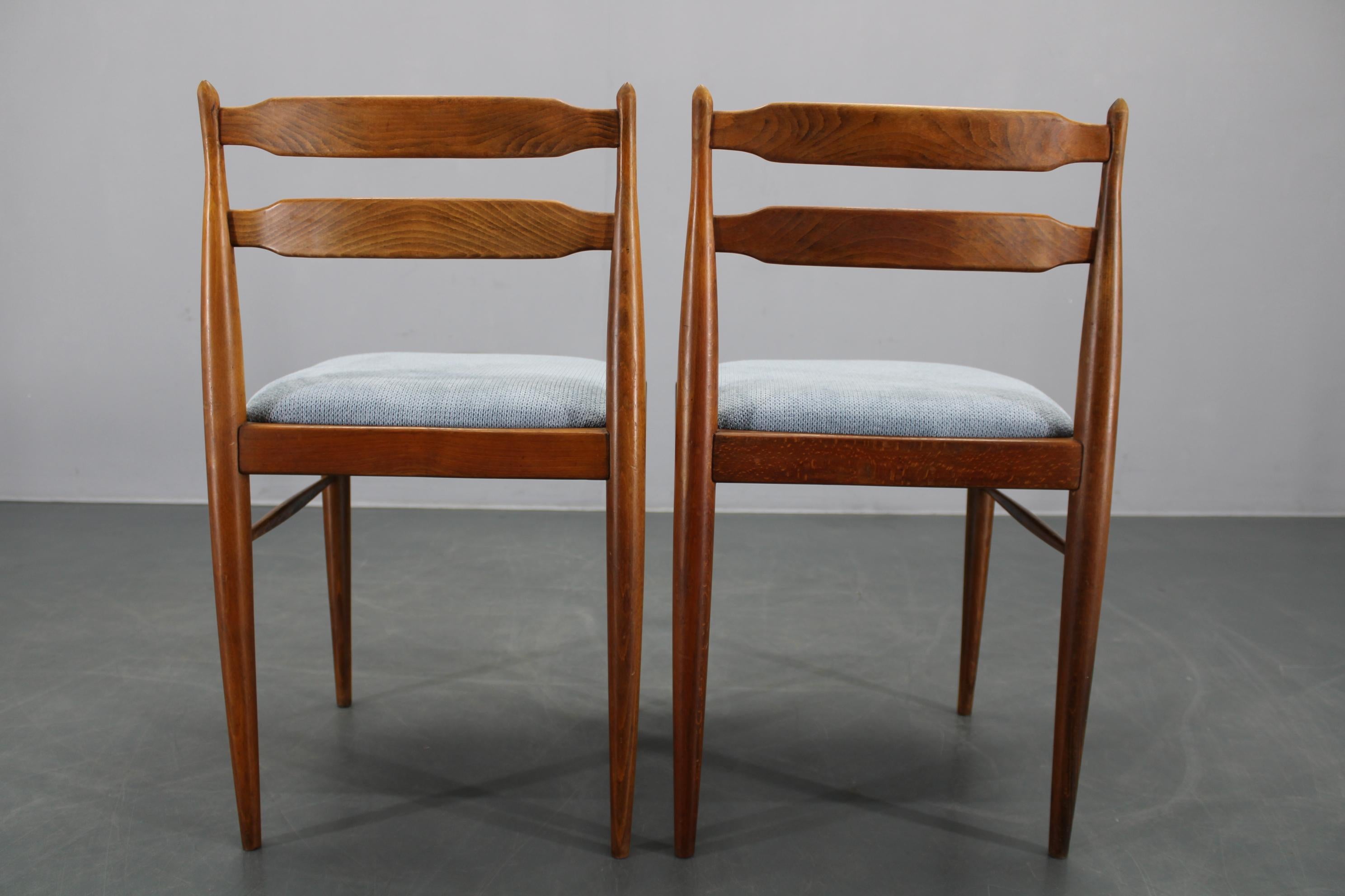 Set di quattro sedie da pranzo in Beeche rimesse a nuovo, Cecoslovacchia, anni '70 in vendita 2