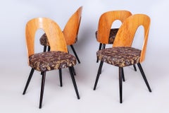 Set di quattro sedie di metà secolo restaurate, Beeche, Oak, Slovacchia, 1950-1959