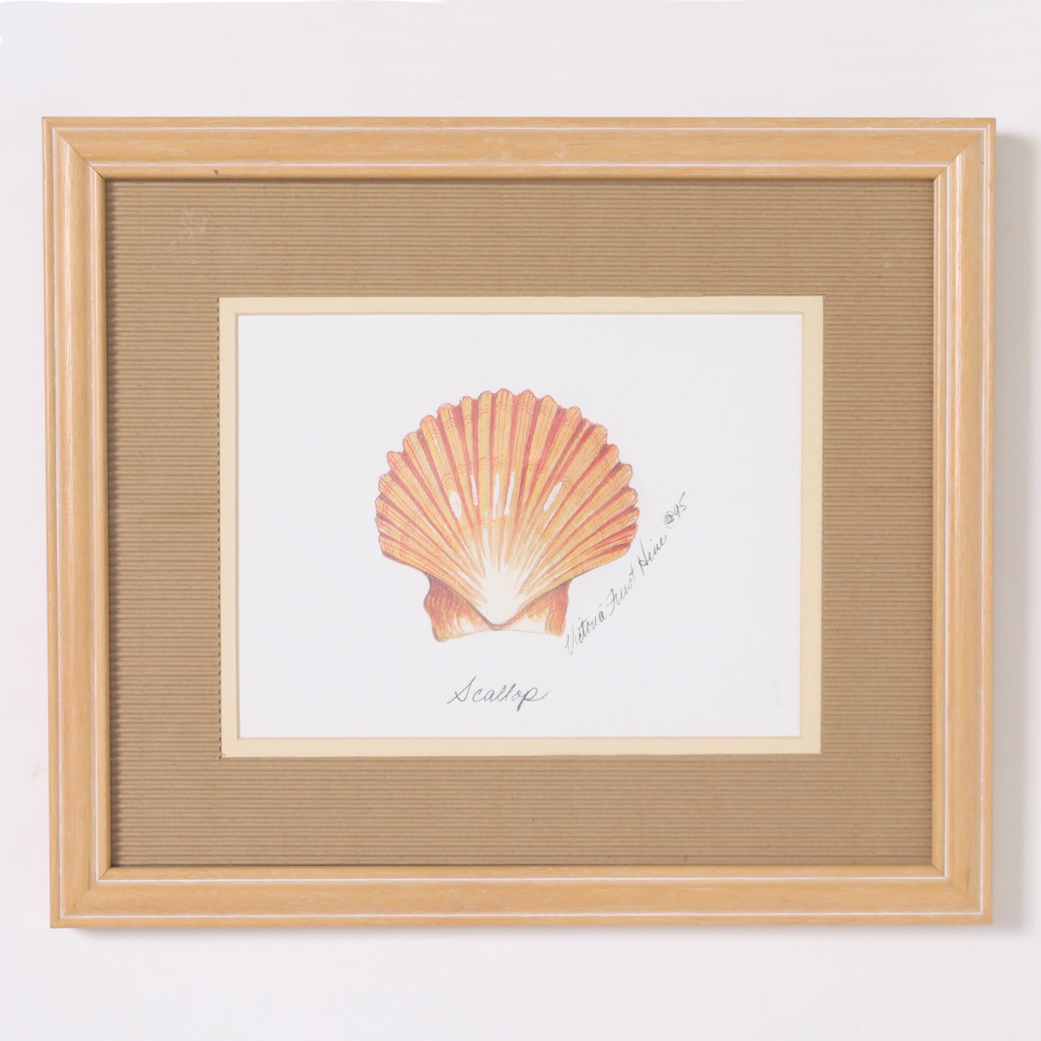 Vintage set of four watercolors depicting seashell species; a Conch, Nautilus, Scallop, and Clam. Signed Victoria Furst Hines and presented in wood frames under glass.