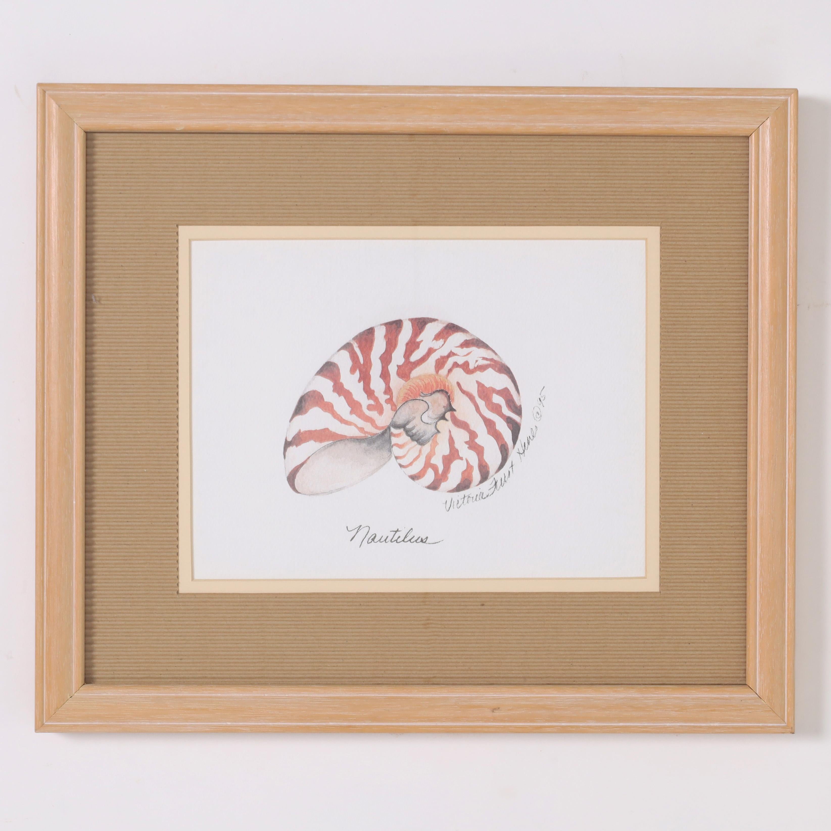 American Set of Four Seashell Watercolors