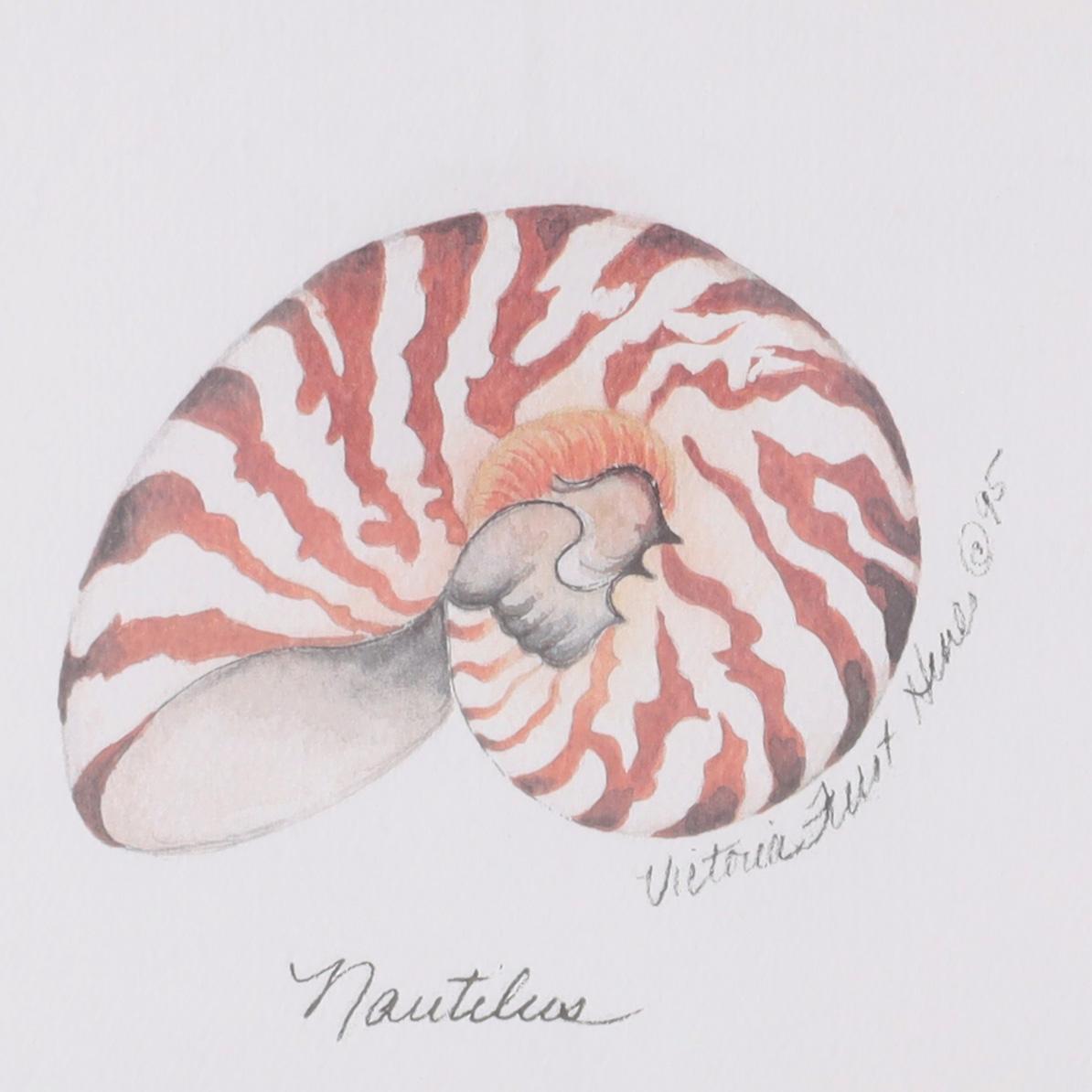 Hand-Painted Set of Four Seashell Watercolors