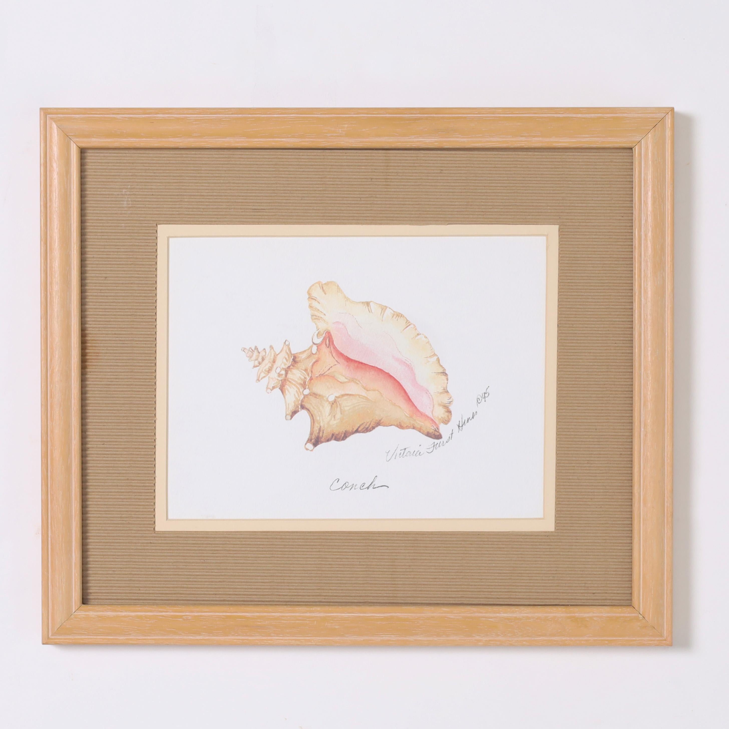 Set of Four Seashell Watercolors In Good Condition In Palm Beach, FL