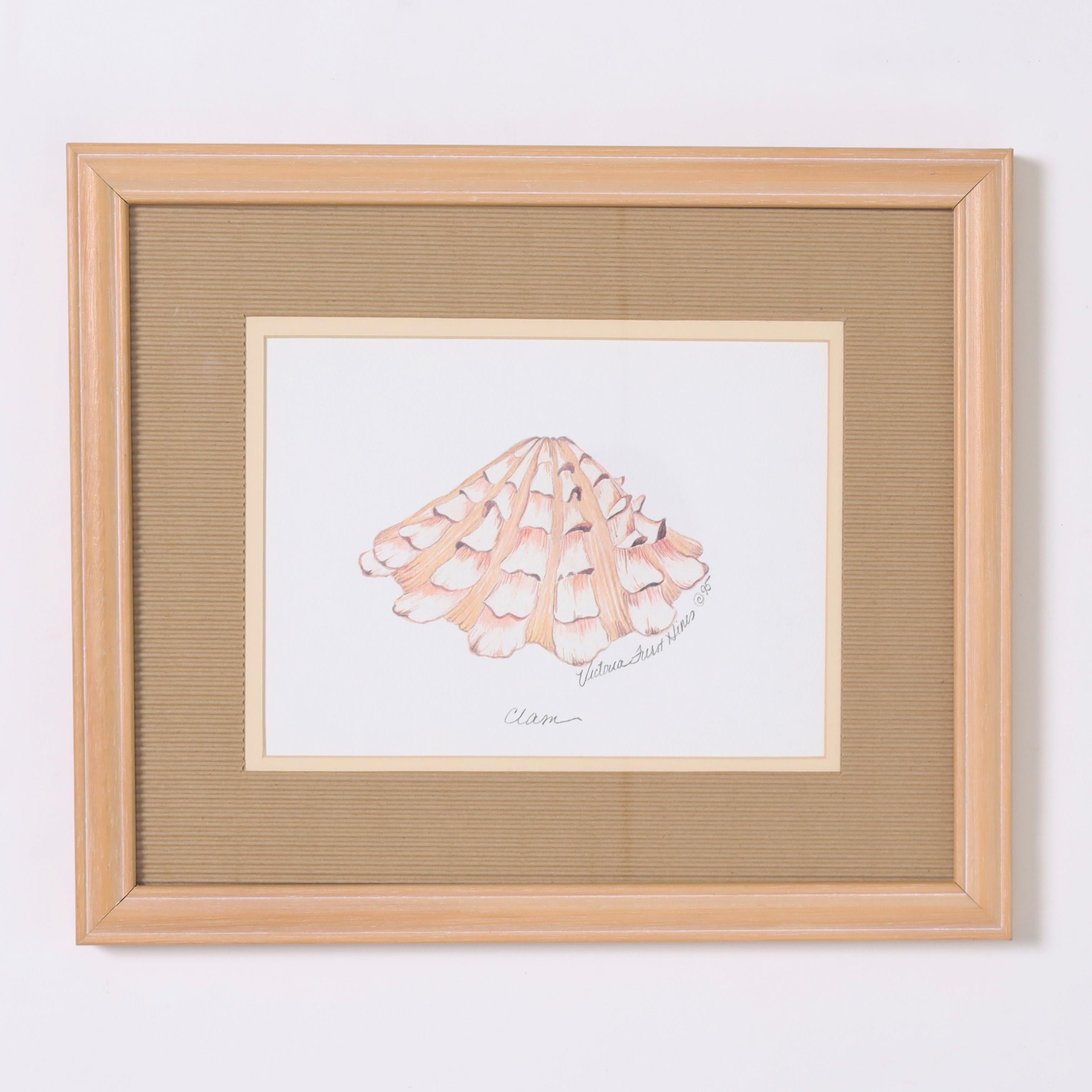 Paint Set of Four Seashell Watercolors