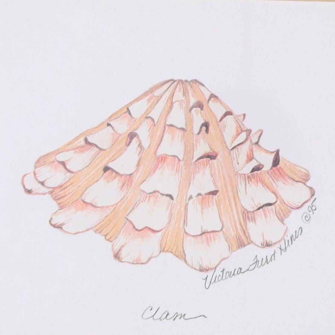 Set of Four Seashell Watercolors 1