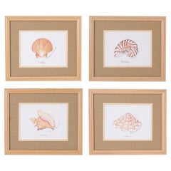 Set of Four Seashell Watercolors