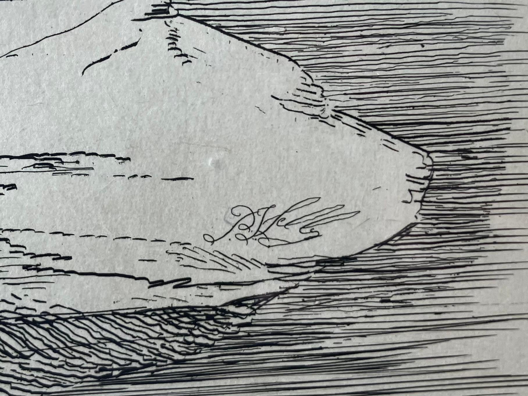 Set of Four Selby Duck Engravings For Sale 3
