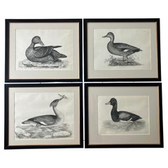 Prints
