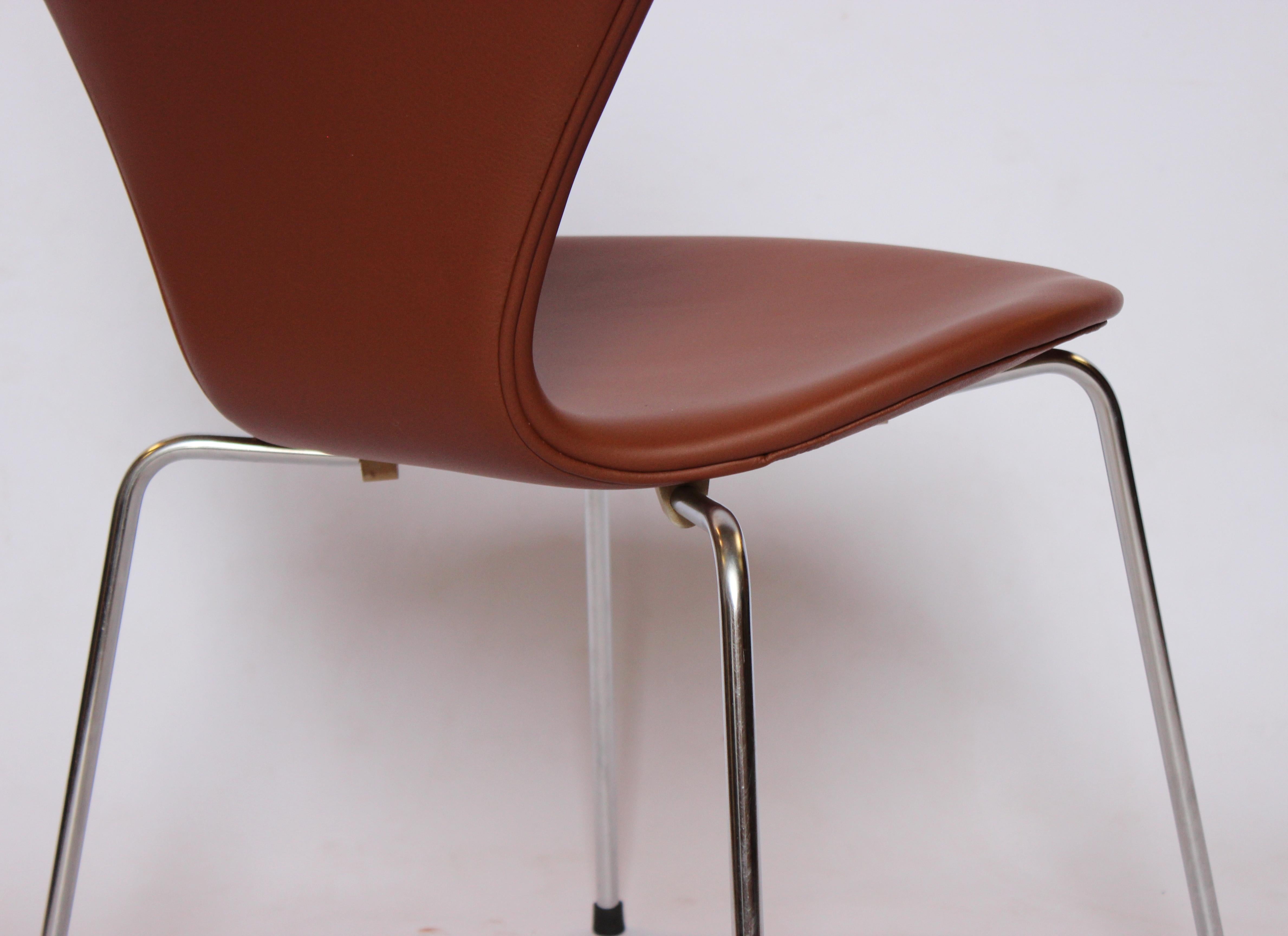 Set of Four Series 7 Chairs, Model 3107, by Arne Jacobsen and Fritz Hansen, 1967 For Sale 3