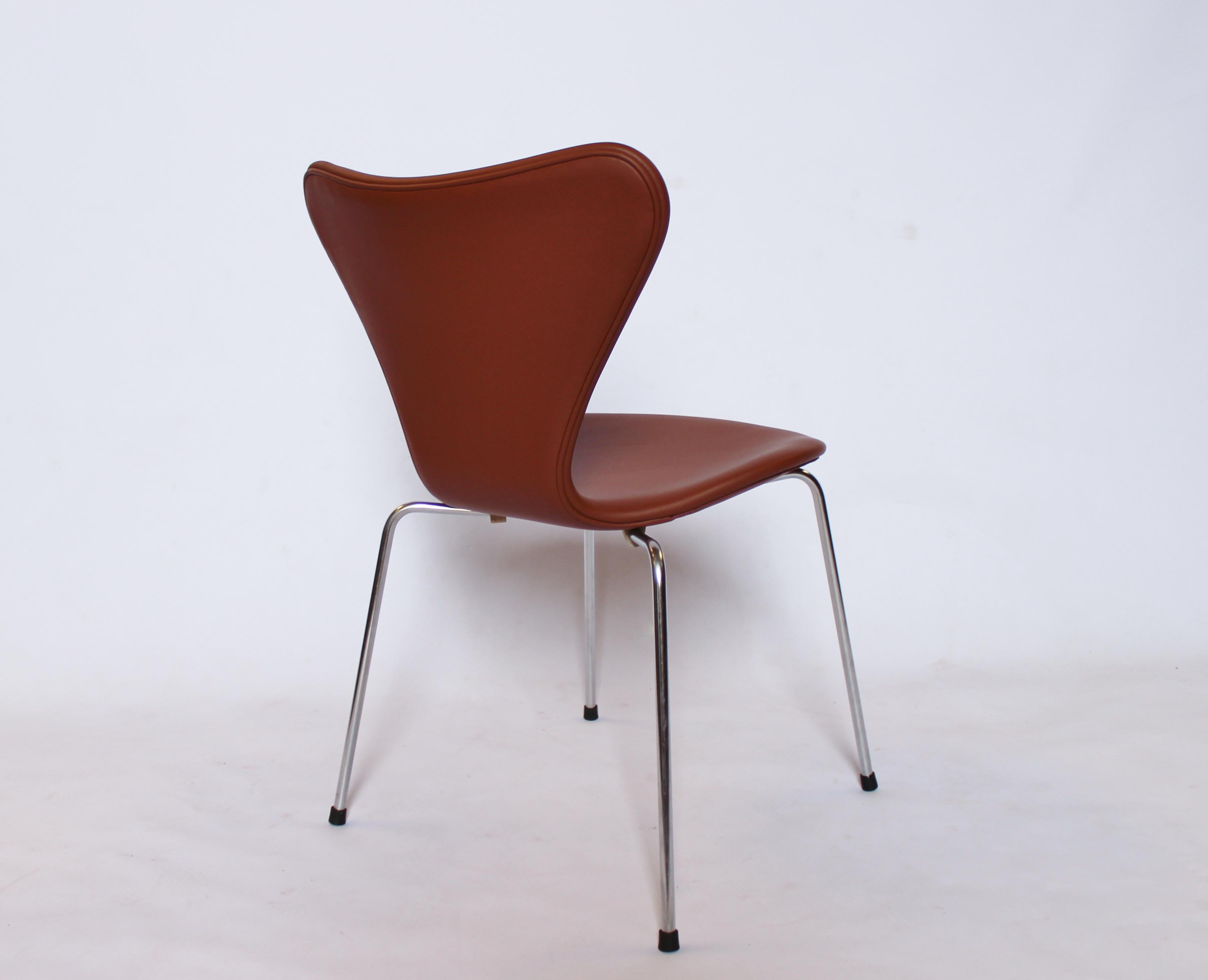 Danish Set of Four Series 7 Chairs, Model 3107, by Arne Jacobsen and Fritz Hansen, 1967 For Sale