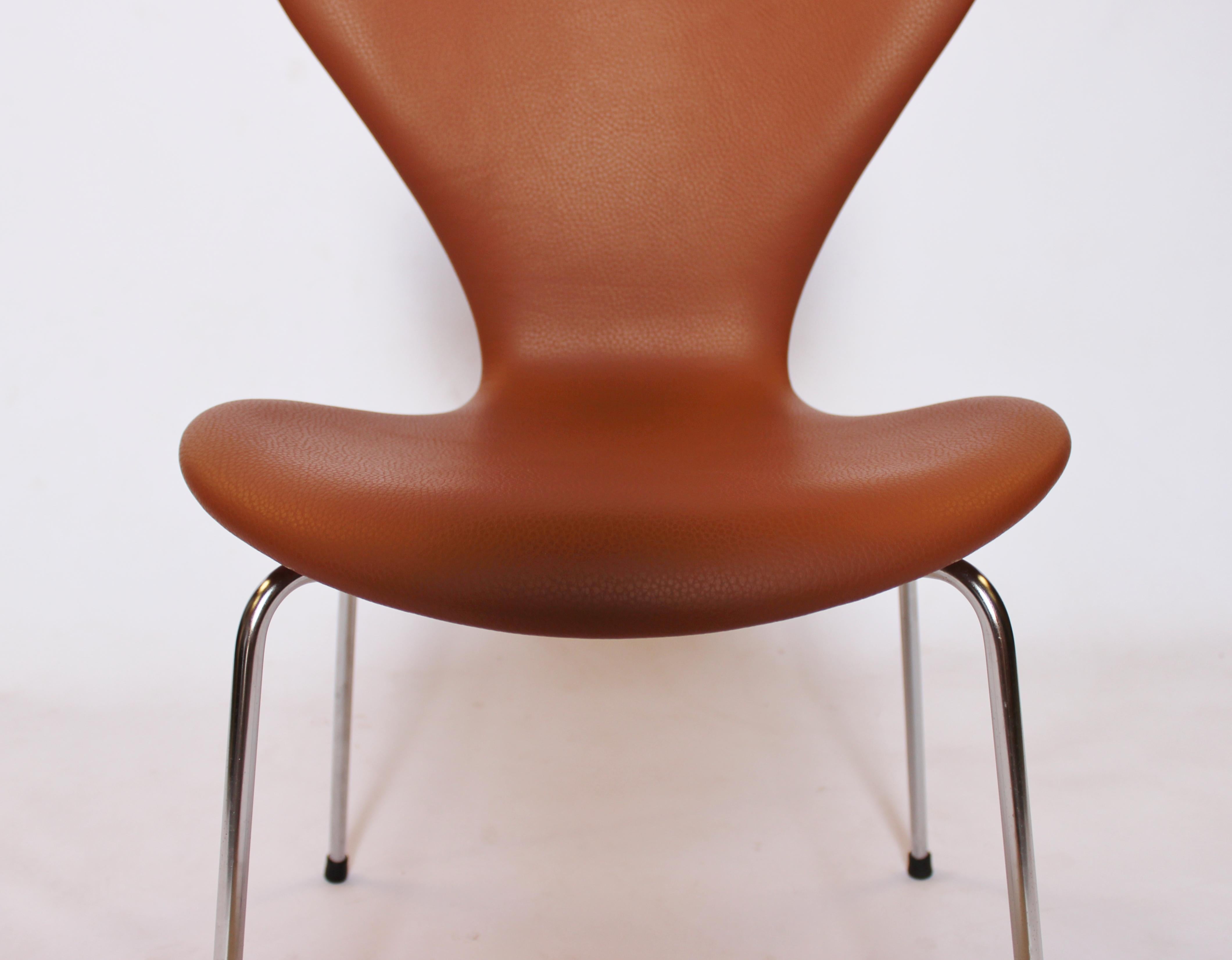 Scandinavian Modern Set of Four Series 7 Chairs, Model 3107 by Arne Jacobsen and Fritz Hansen, 1967