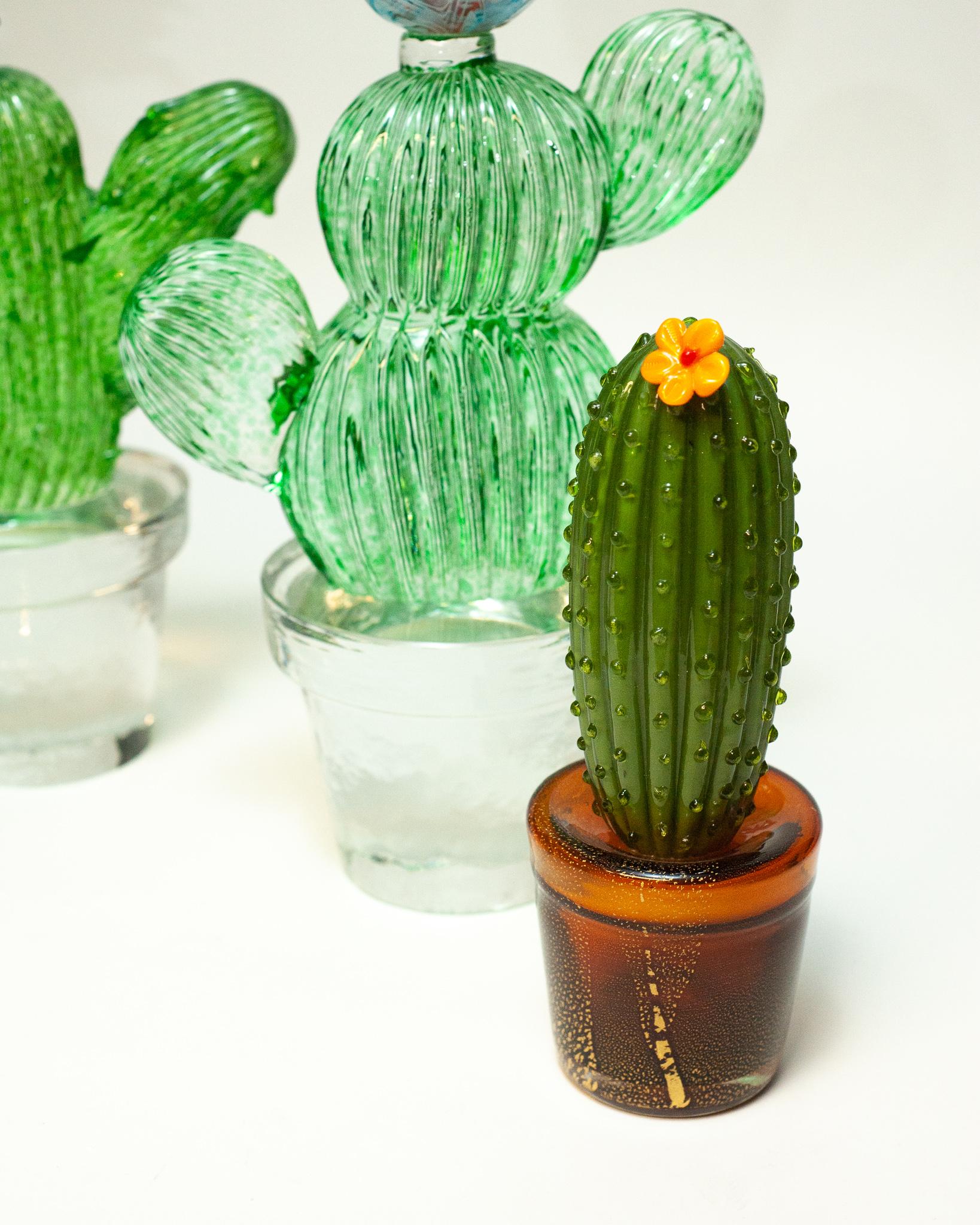 glass cactus photos