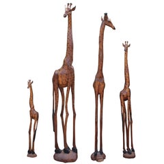 Set of Four South African Hand-Carved Giraffe Sculptures in a Variety of Sizes