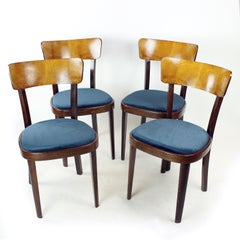 Set Of Four Tatra Dining Chairs, Czechoslovakia, 1950s