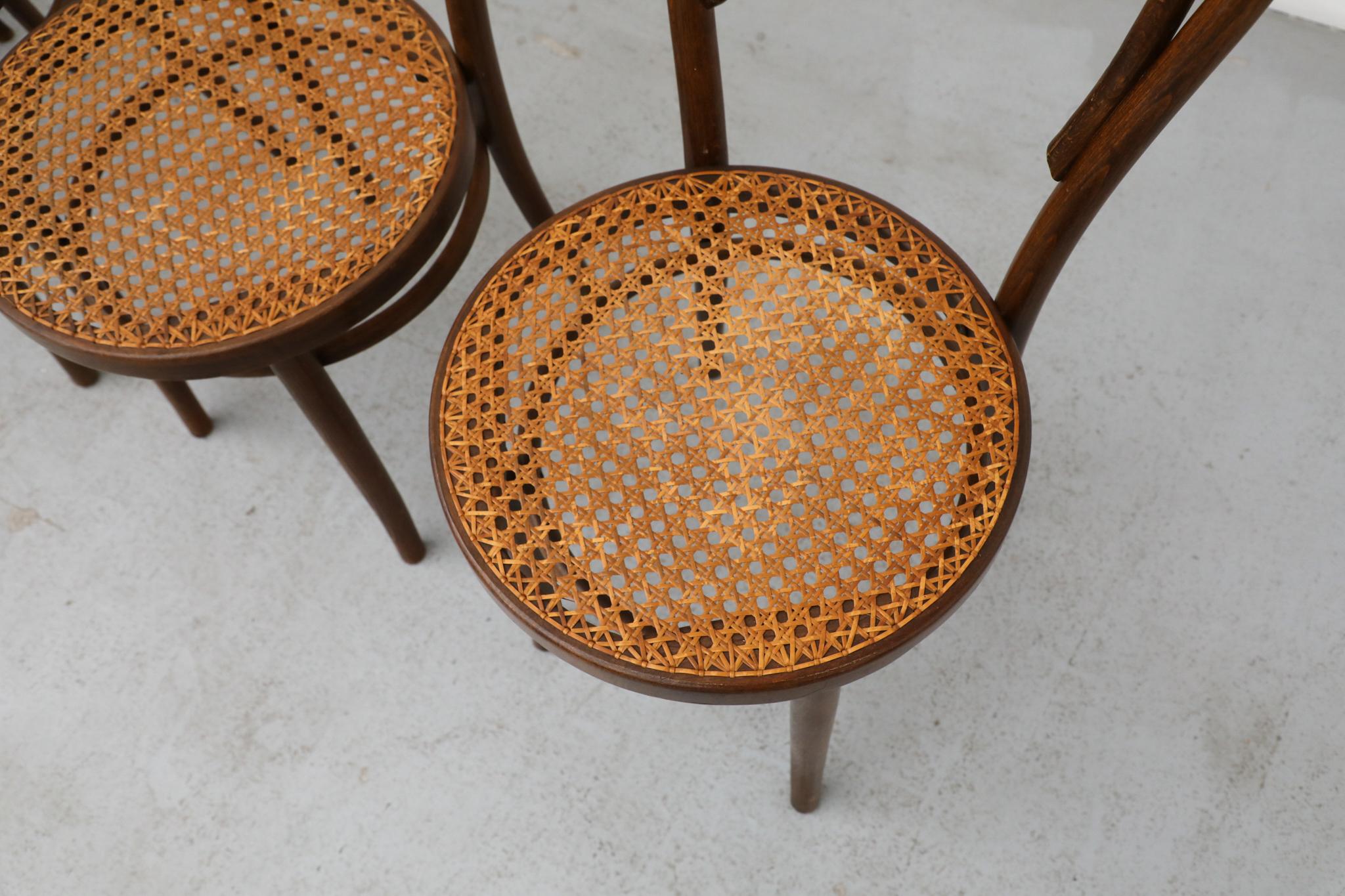 Ensemble de quatre chaises de bistro en bois courbé Thonet par Radomsko, sièges en rotin en vente 3