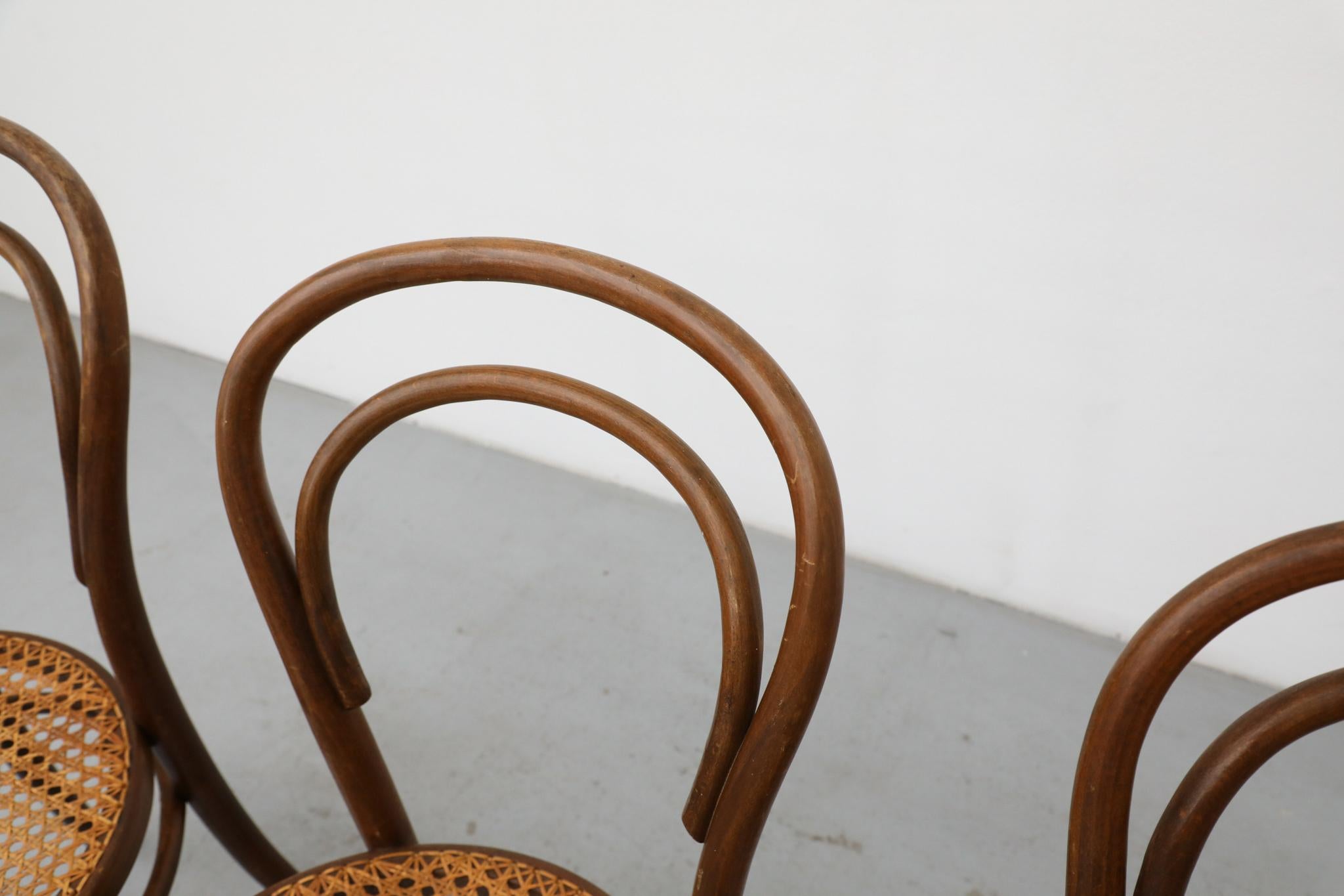 Ensemble de quatre chaises de bistro en bois courbé Thonet par Radomsko, sièges en rotin en vente 4