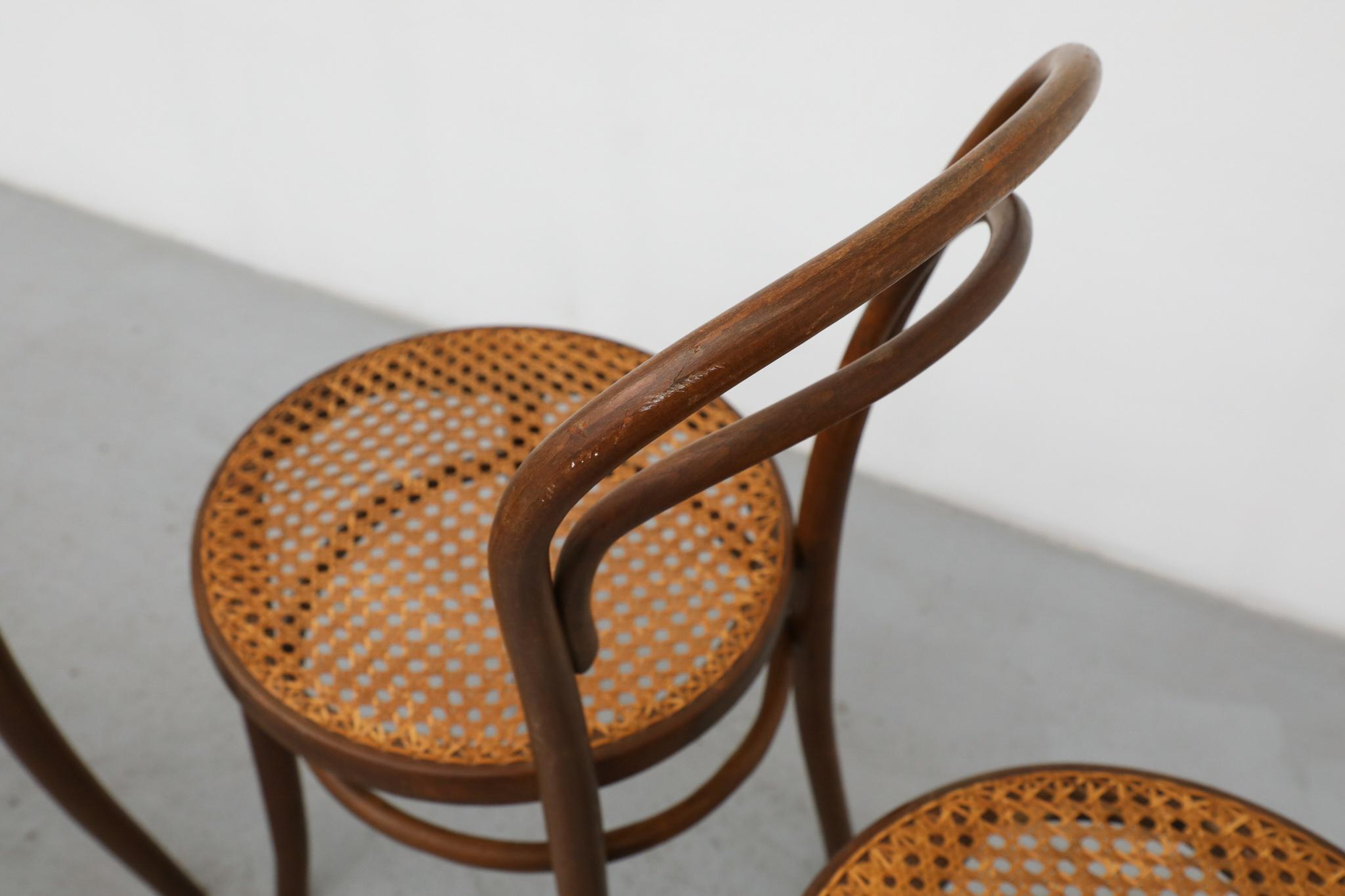 Ensemble de quatre chaises de bistro en bois courbé Thonet par Radomsko, sièges en rotin en vente 5