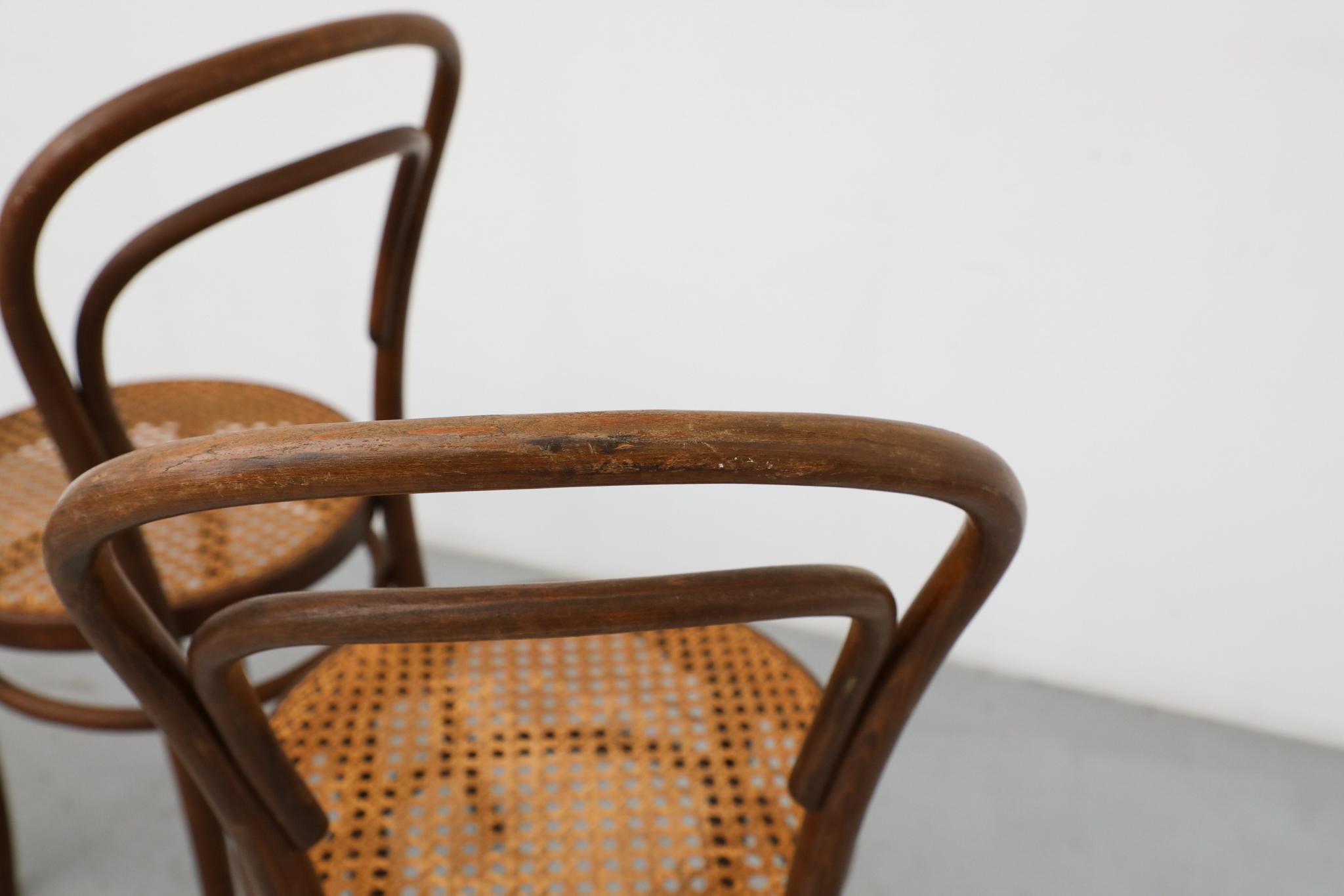 Ensemble de quatre chaises de bistro en bois courbé Thonet par Radomsko, sièges en rotin en vente 6