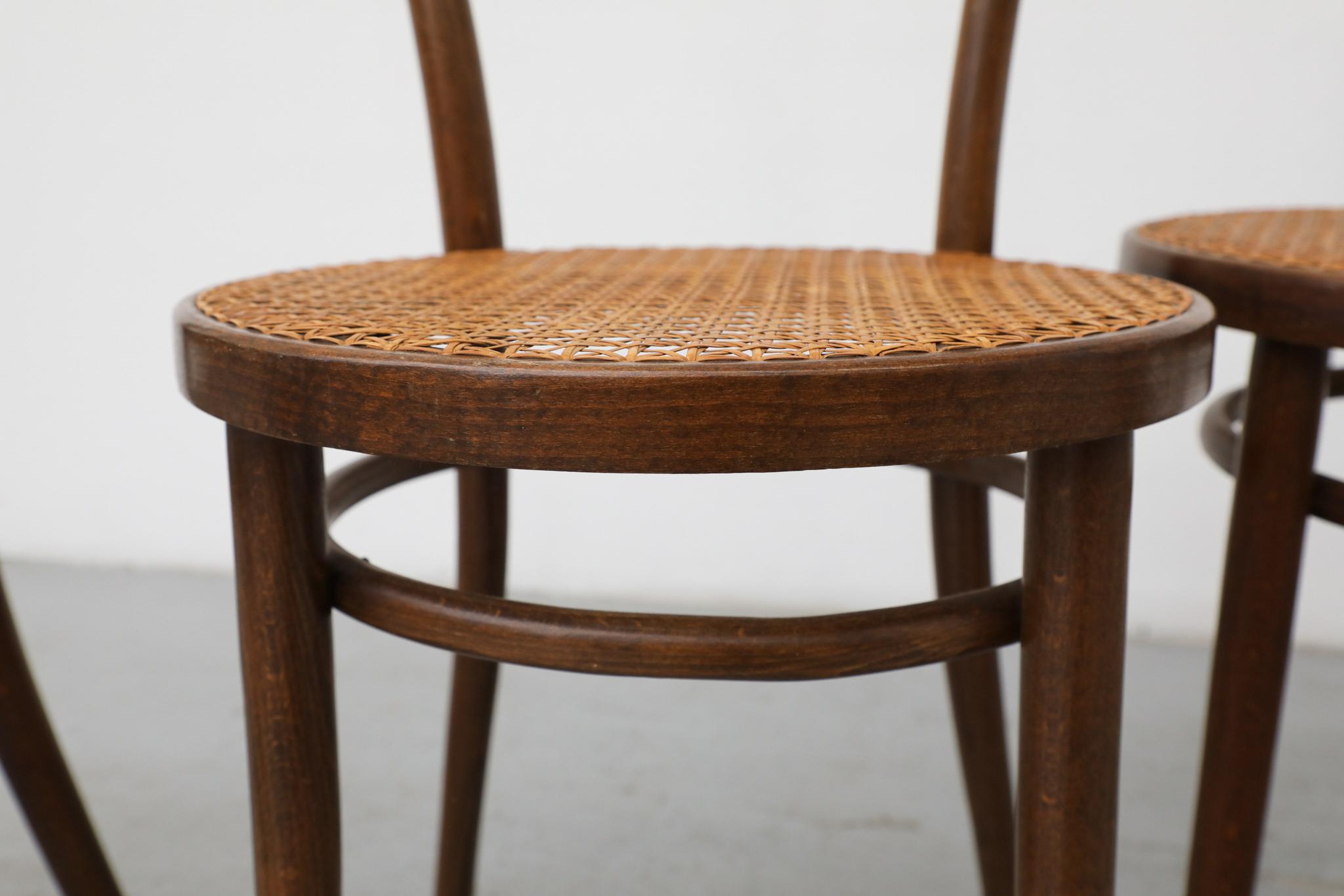 Ensemble de quatre chaises de bistro en bois courbé Thonet par Radomsko, sièges en rotin en vente 11