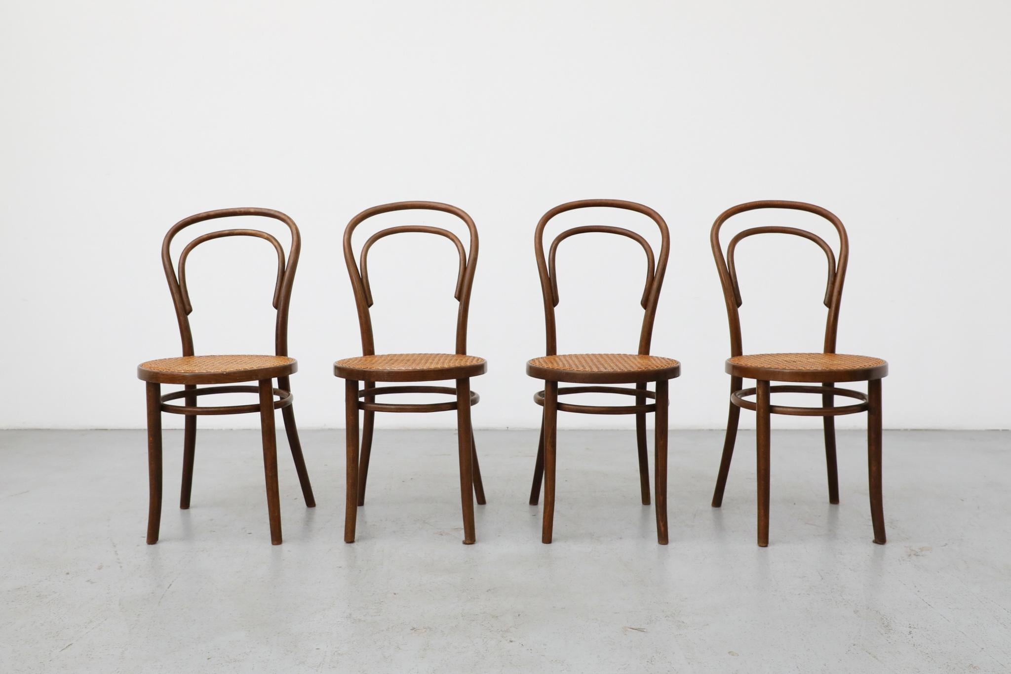 Ensemble de quatre chaises de bistrot classiques en bois courbé Thonet fabriquées par Radomsko, une ancienne usine Thonet distinguée située en Pologne. Ces chaises représentent l'héritage durable des techniques révolutionnaires de cintrage à la