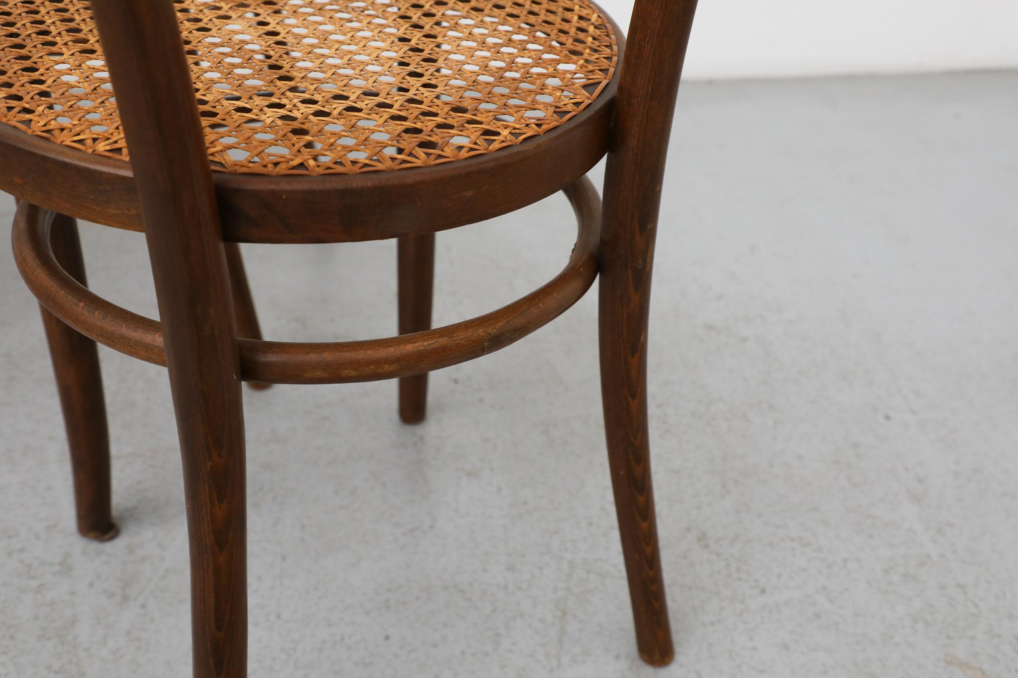 Ensemble de quatre chaises de bistro en bois courbé Thonet par Radomsko, sièges en rotin en vente 13