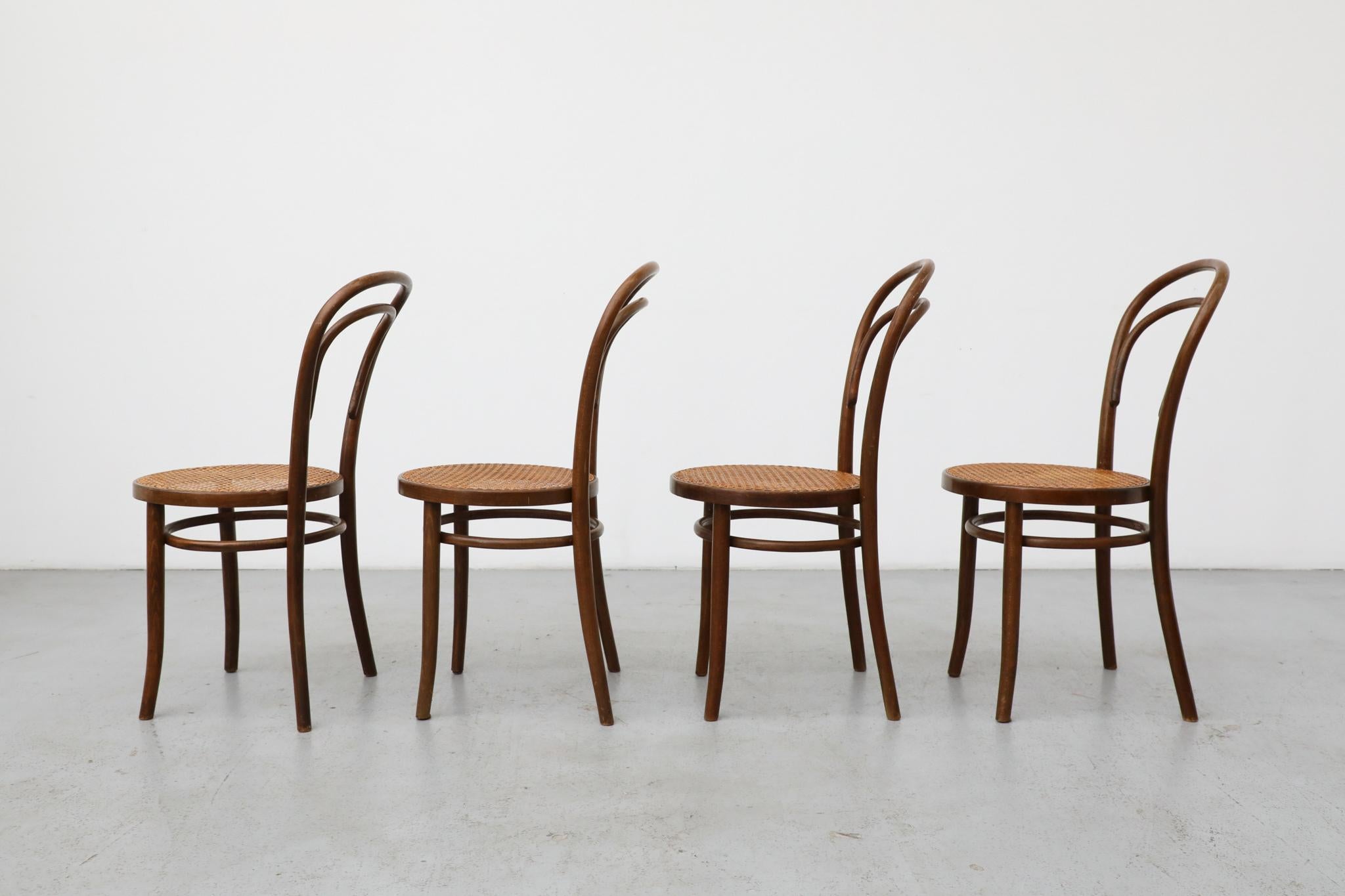 Polonais Ensemble de quatre chaises de bistro en bois courbé Thonet par Radomsko, sièges en rotin en vente