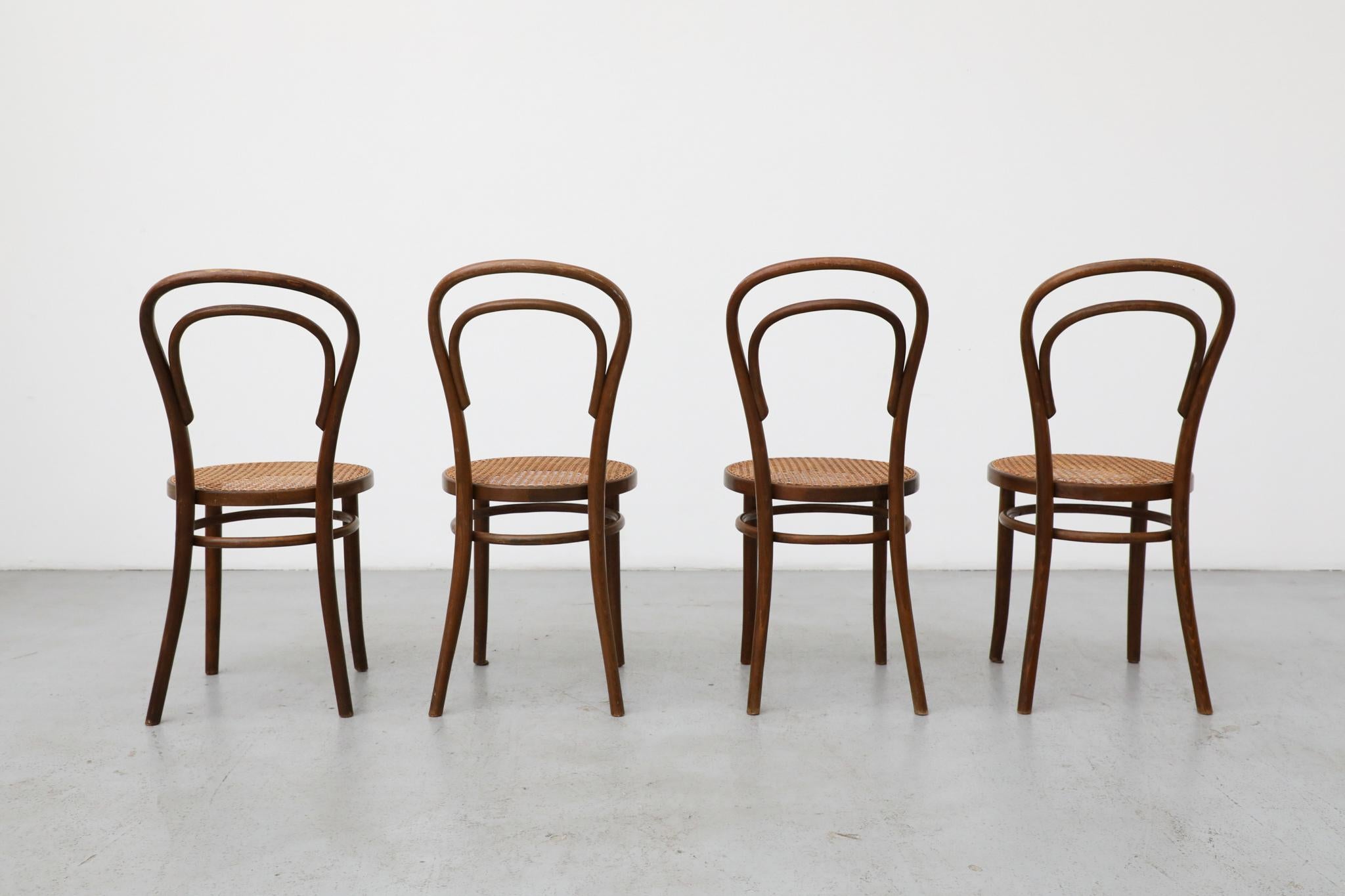 Milieu du XXe siècle Ensemble de quatre chaises de bistro en bois courbé Thonet par Radomsko, sièges en rotin en vente