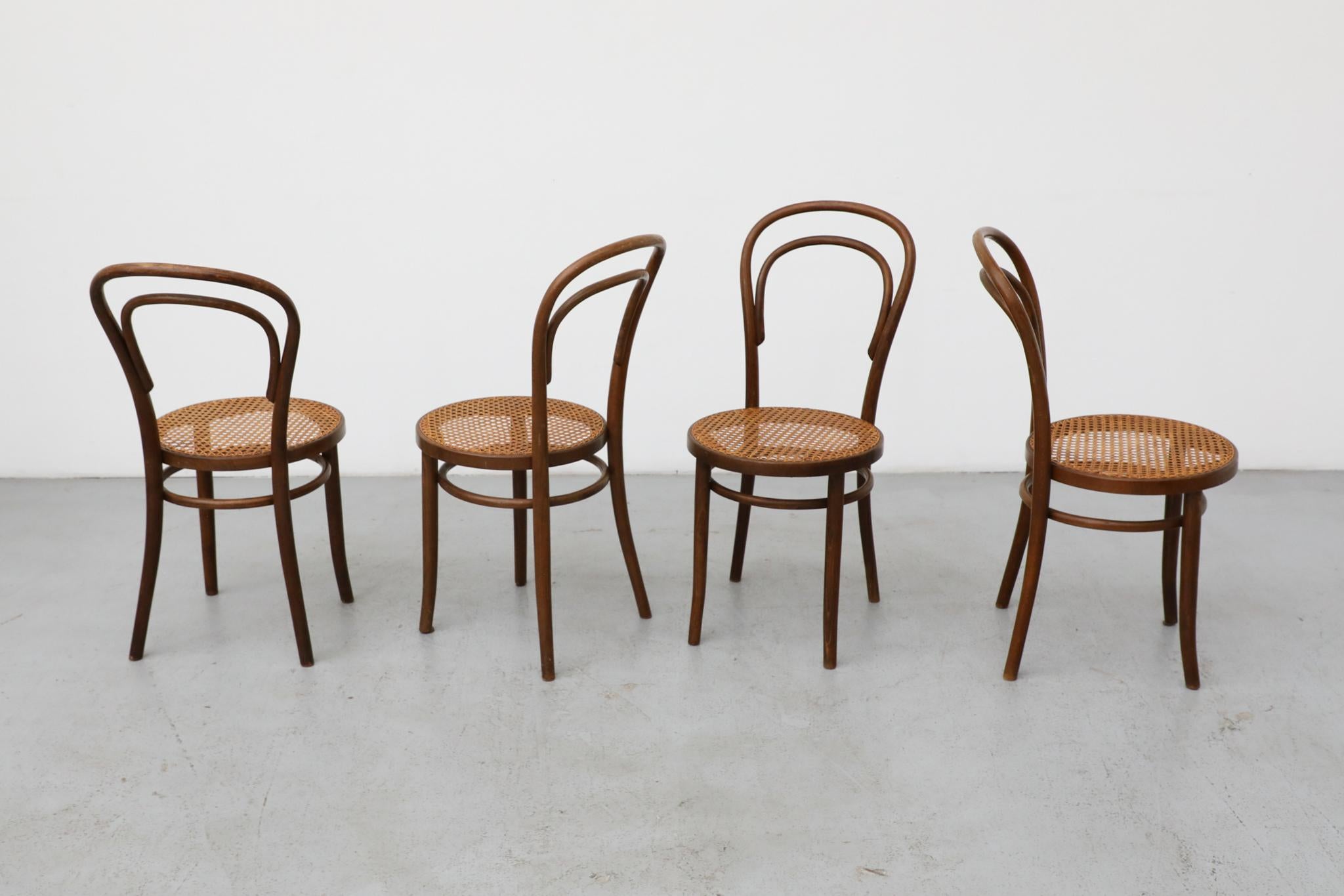 Canne Ensemble de quatre chaises de bistro en bois courbé Thonet par Radomsko, sièges en rotin en vente