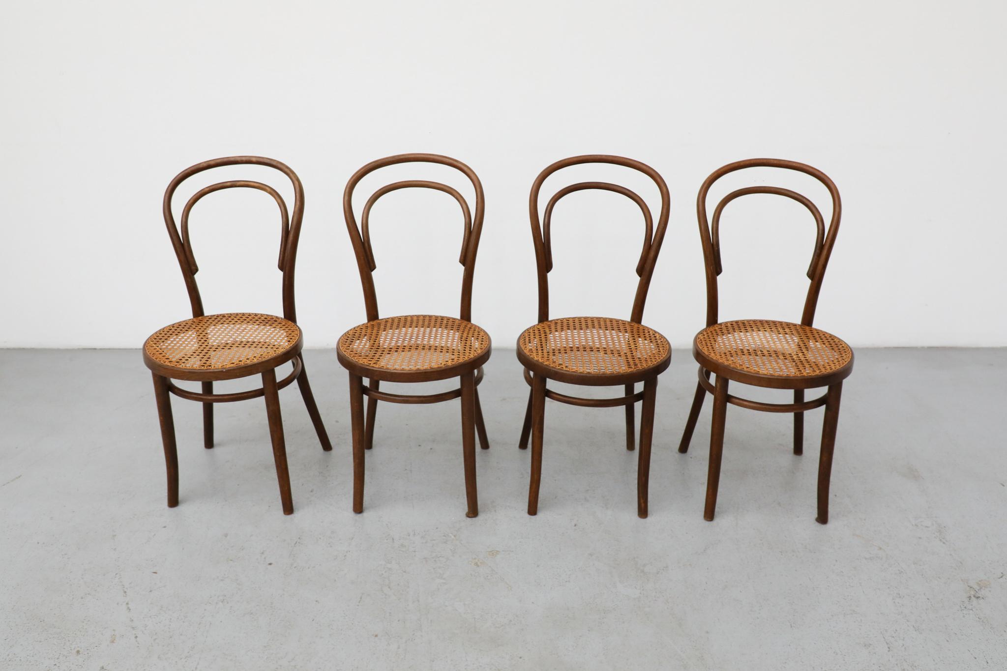 Ensemble de quatre chaises de bistro en bois courbé Thonet par Radomsko, sièges en rotin en vente 1