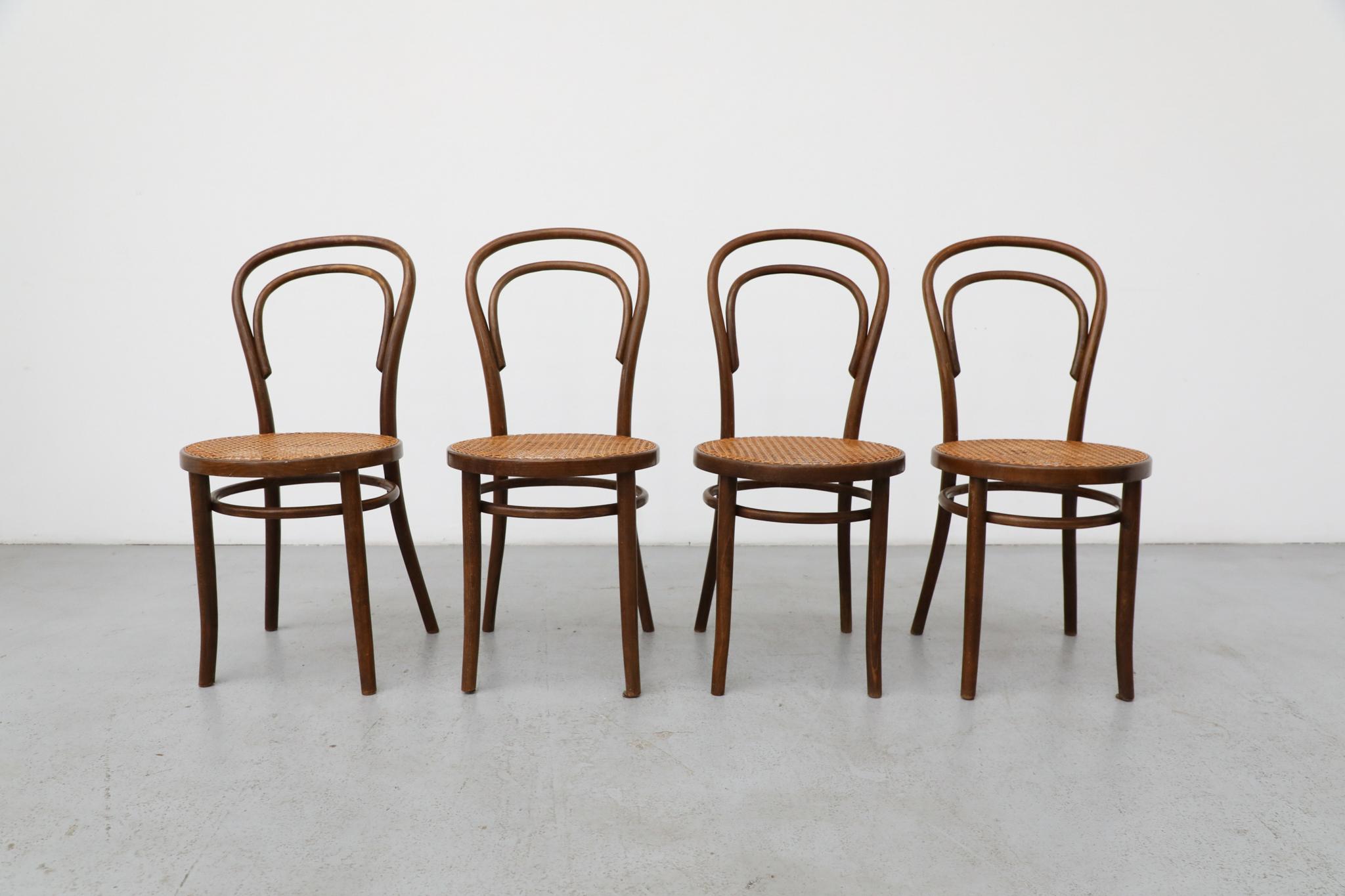 Ensemble de quatre chaises de bistro en bois courbé Thonet par Radomsko, sièges en rotin en vente 2