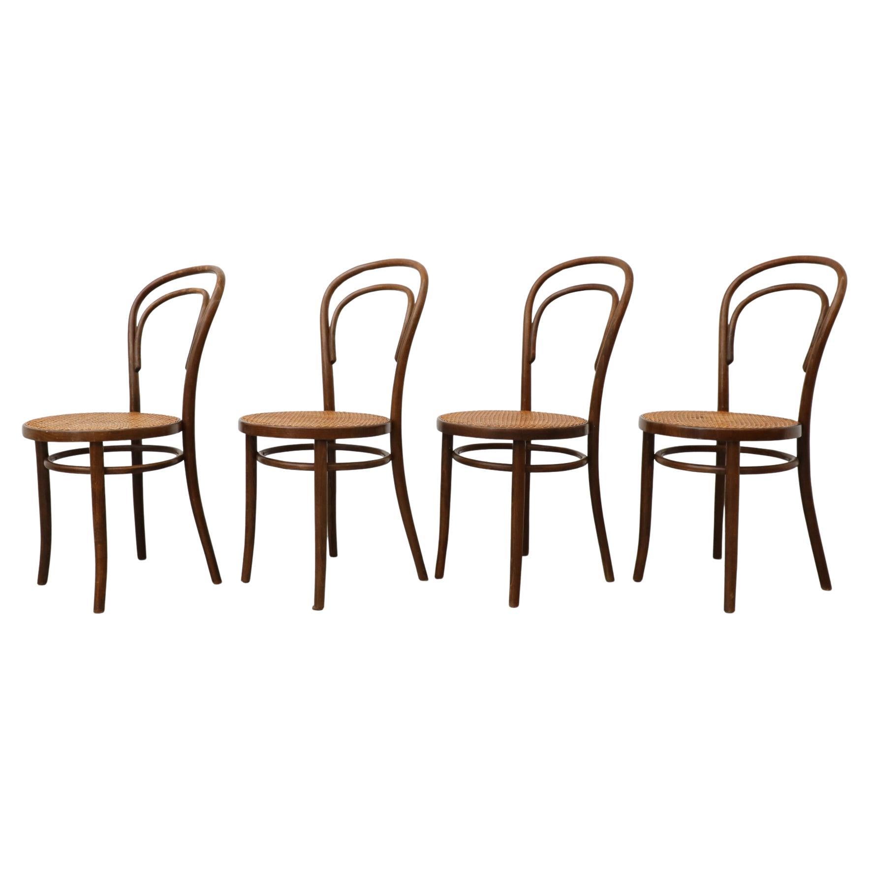 Set di quattro sedie da bistrot Thonet Bent Wood di Radomsko, sedute in canna