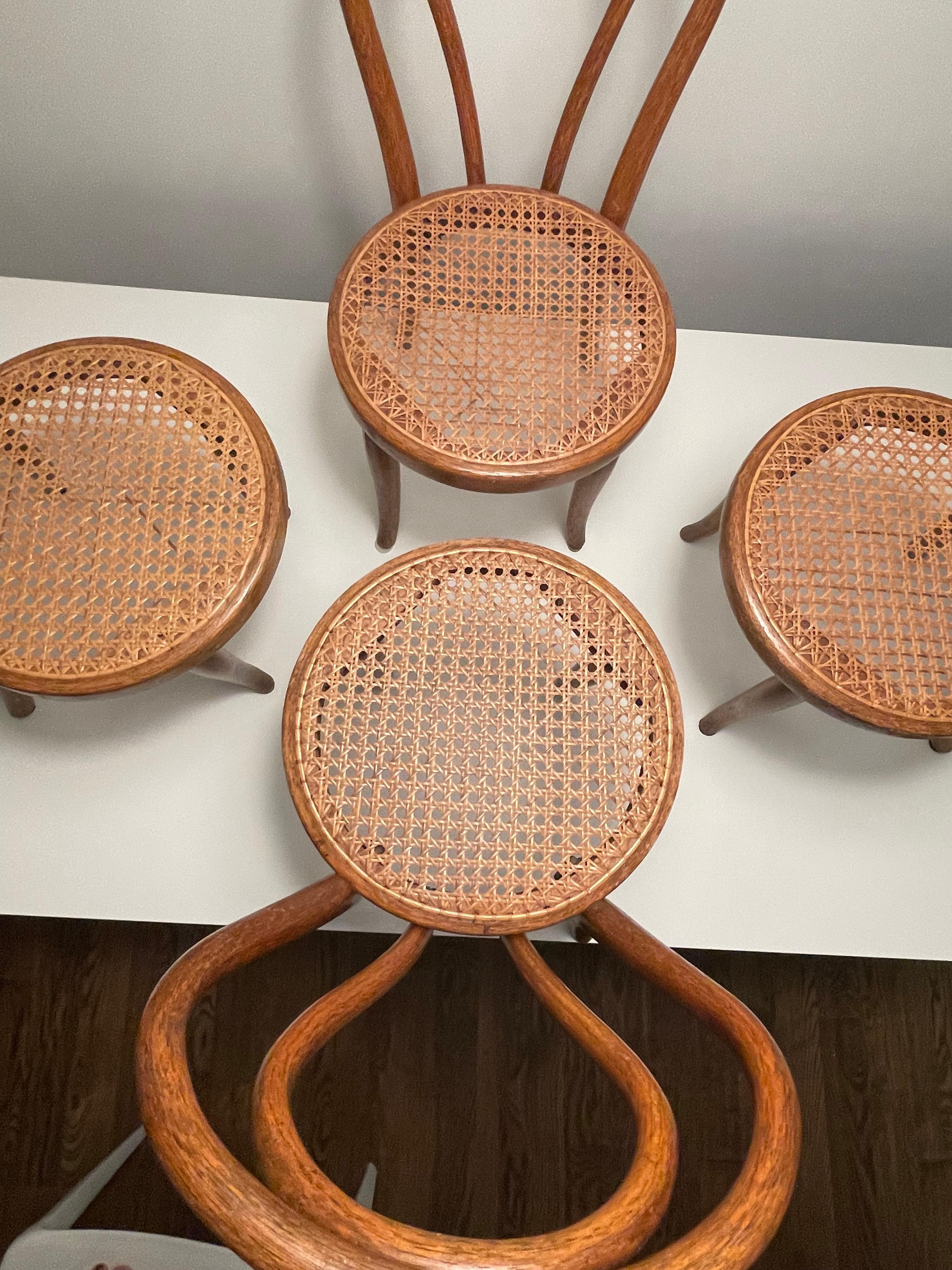 Set of Four Thonet Bentwood and Cane Children’s Chairs For Sale 1