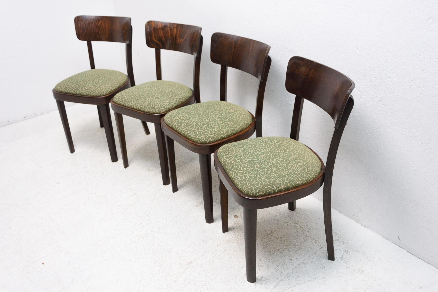 20th Century Set of Four Thonet Dining Chairs, Czechoslovakia, 1950