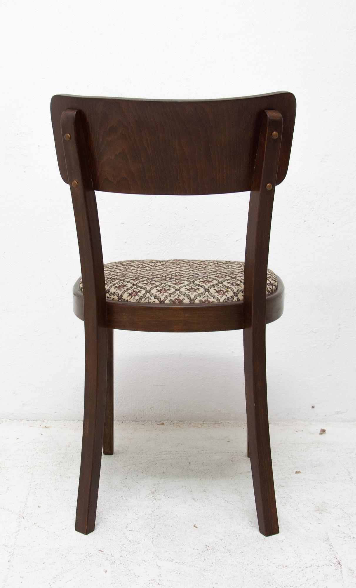 Set of Four Thonet Dining Chairs, Czechoslovakia, 1950s 5