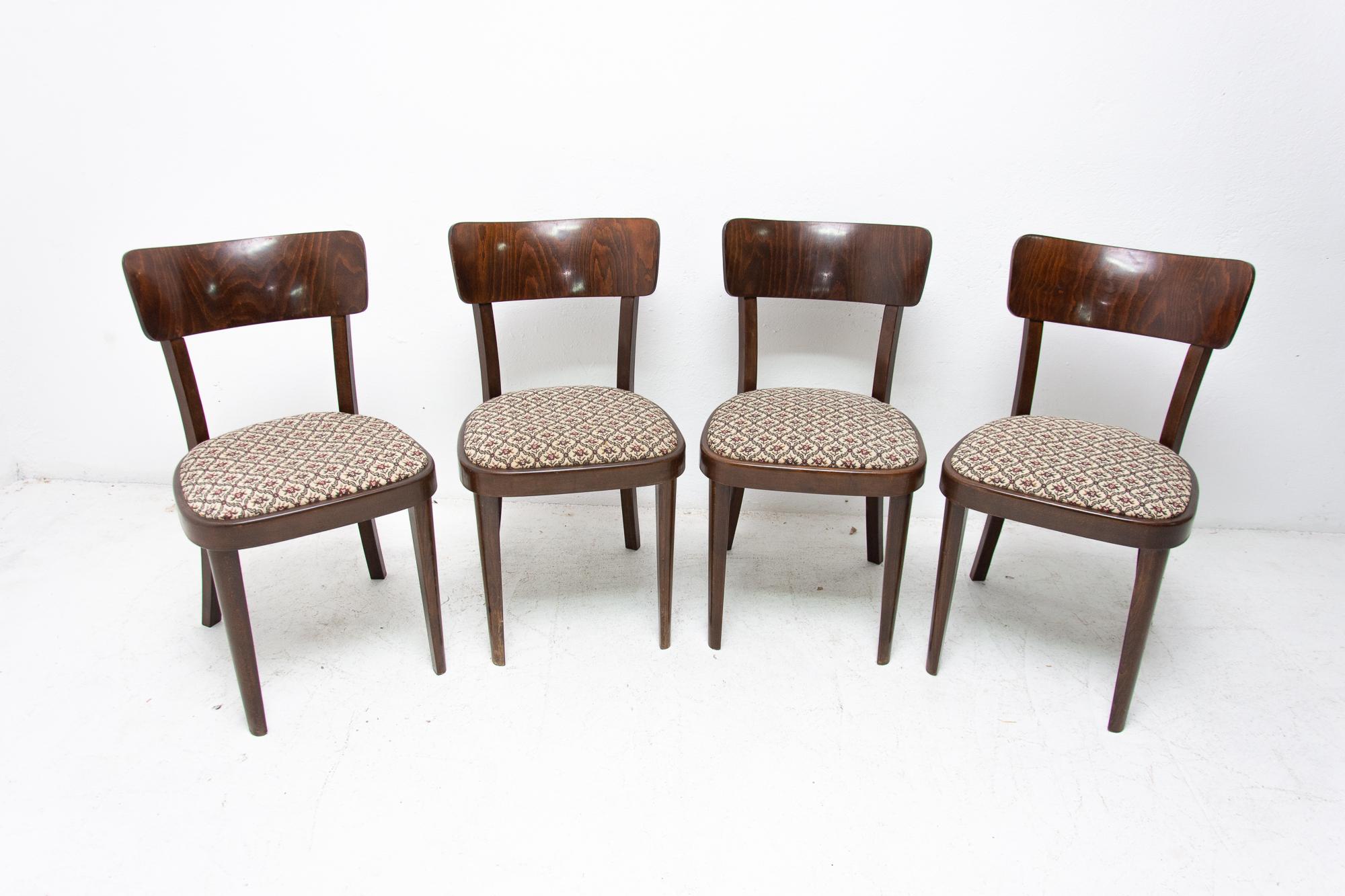 Esstischstühle Thonet, hergestellt in der Tschechoslowakei, 1950er Jahre. Walnussfurnier, gepolsterte Sitze. In sehr gutem Vintage-Zustand, mit dem Alter der Stühle entsprechenden Gebrauchsspuren. Der Preis gilt für das Viererset.