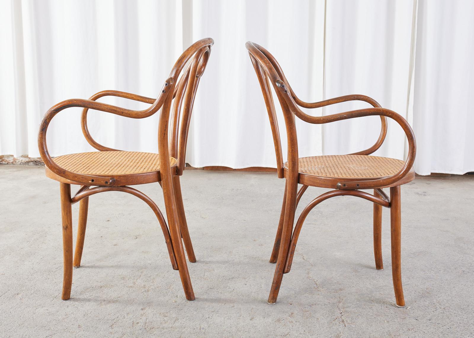 Set of Four Thonet Style Bentwood and Cane Armchairs For Sale 2
