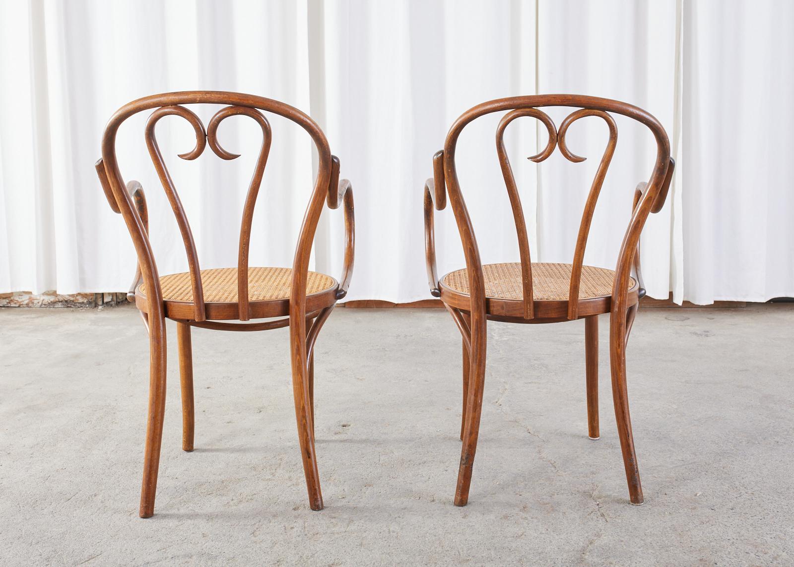 Set of Four Thonet Style Bentwood and Cane Armchairs For Sale 12