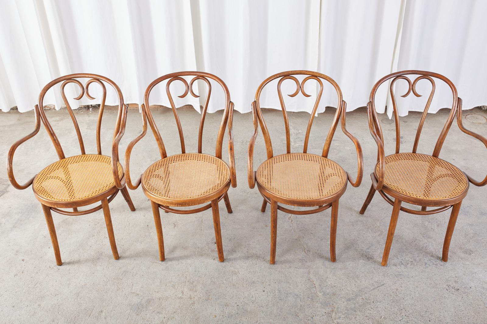 Sécession viennoise Ensemble de quatre fauteuils de style Thonet en bentwood et cannage en vente