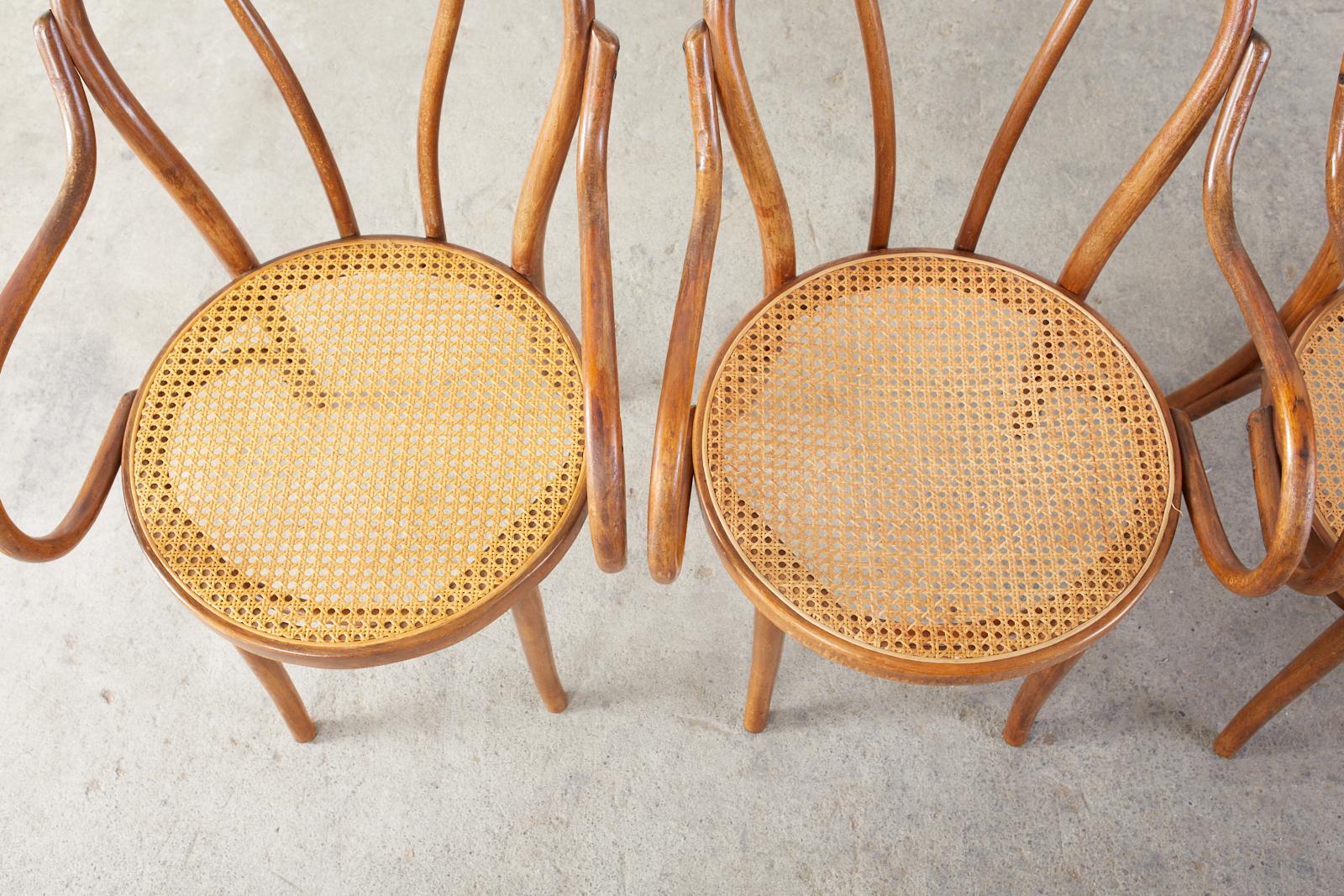 Polonais Ensemble de quatre fauteuils de style Thonet en bentwood et cannage en vente