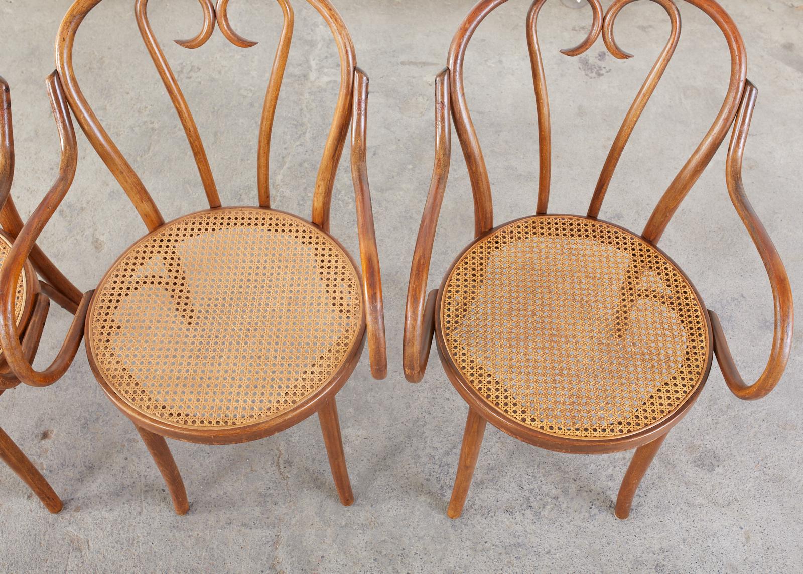 Polish Set of Four Thonet Style Bentwood and Cane Armchairs For Sale