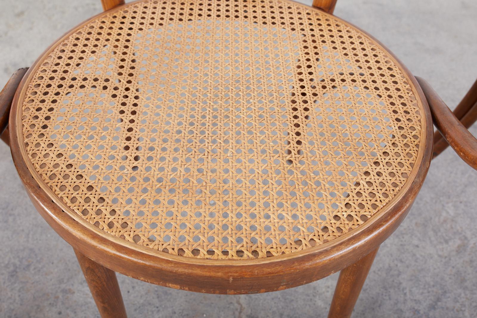 Ensemble de quatre fauteuils de style Thonet en bentwood et cannage Bon état - En vente à Rio Vista, CA