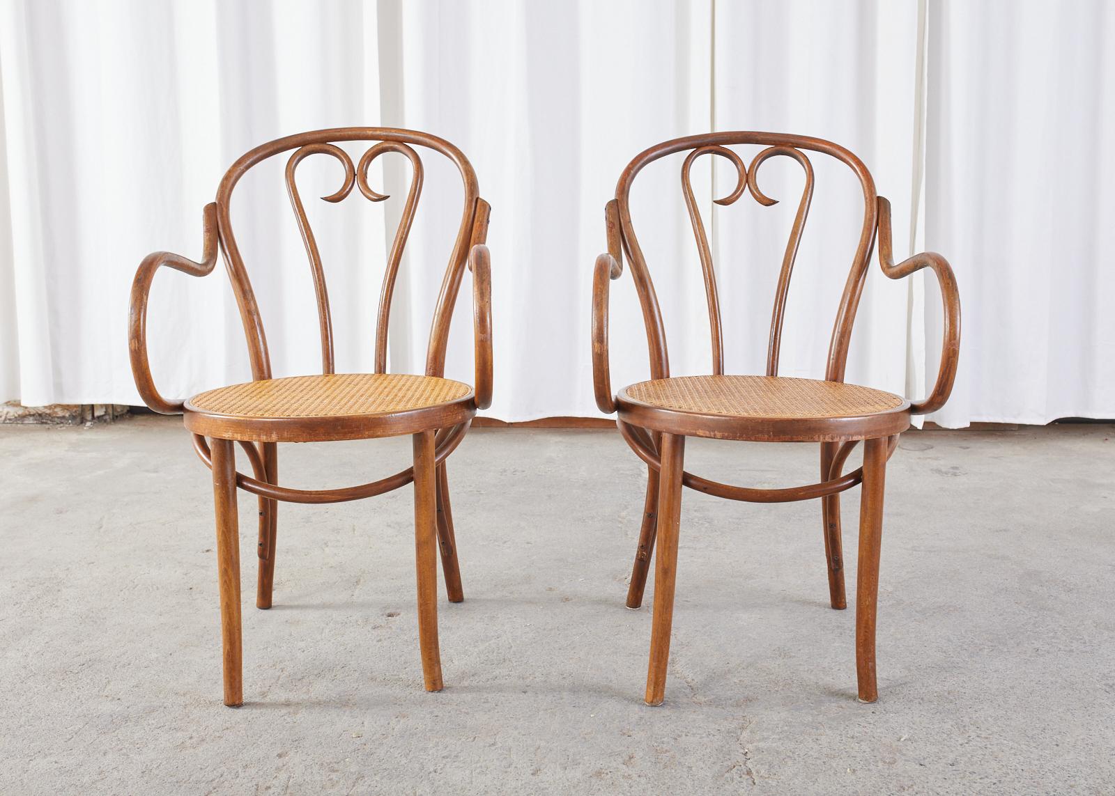 20ième siècle Ensemble de quatre fauteuils de style Thonet en bentwood et cannage en vente