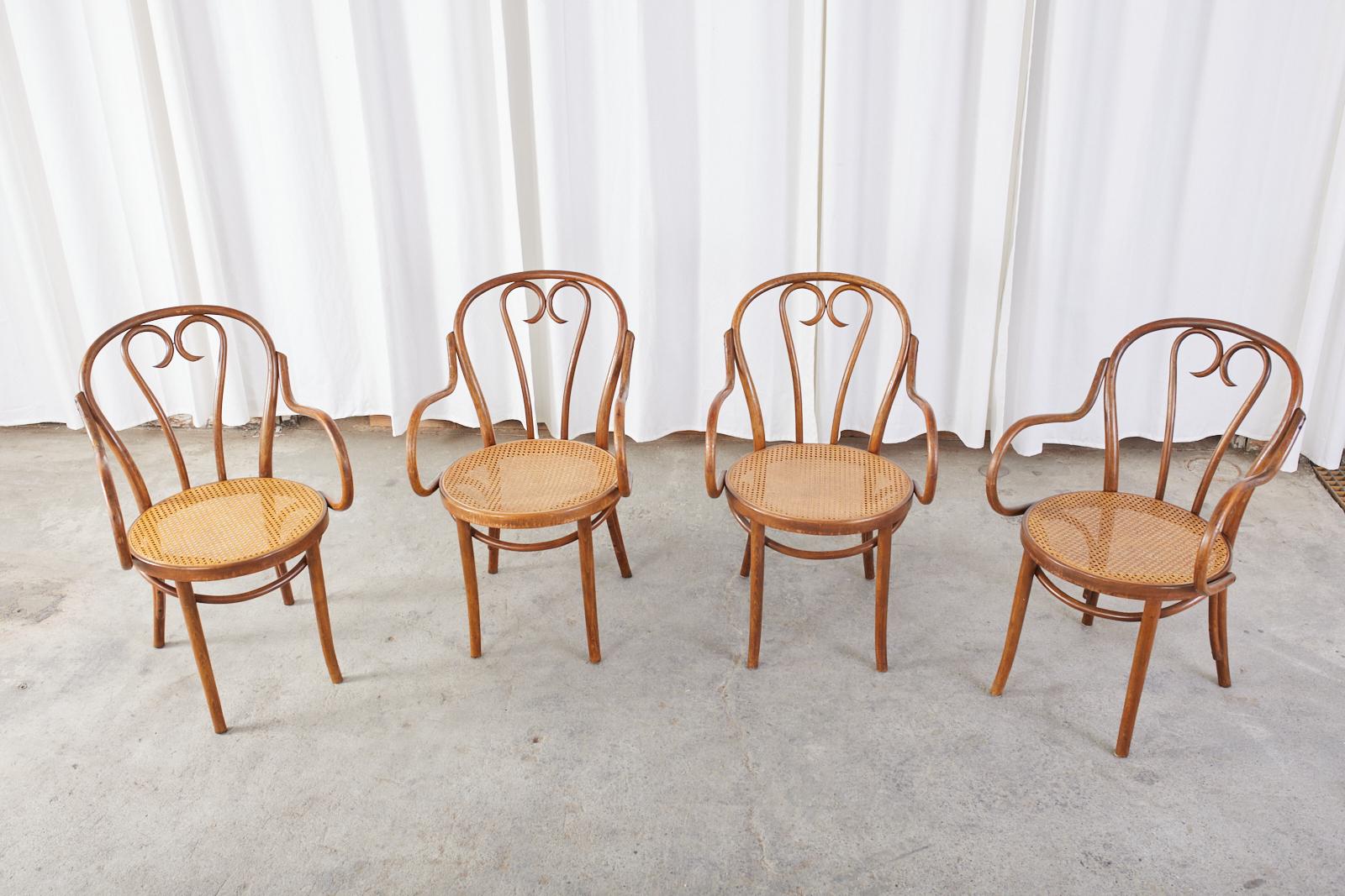 Bois cintré Ensemble de quatre fauteuils de style Thonet en bentwood et cannage en vente