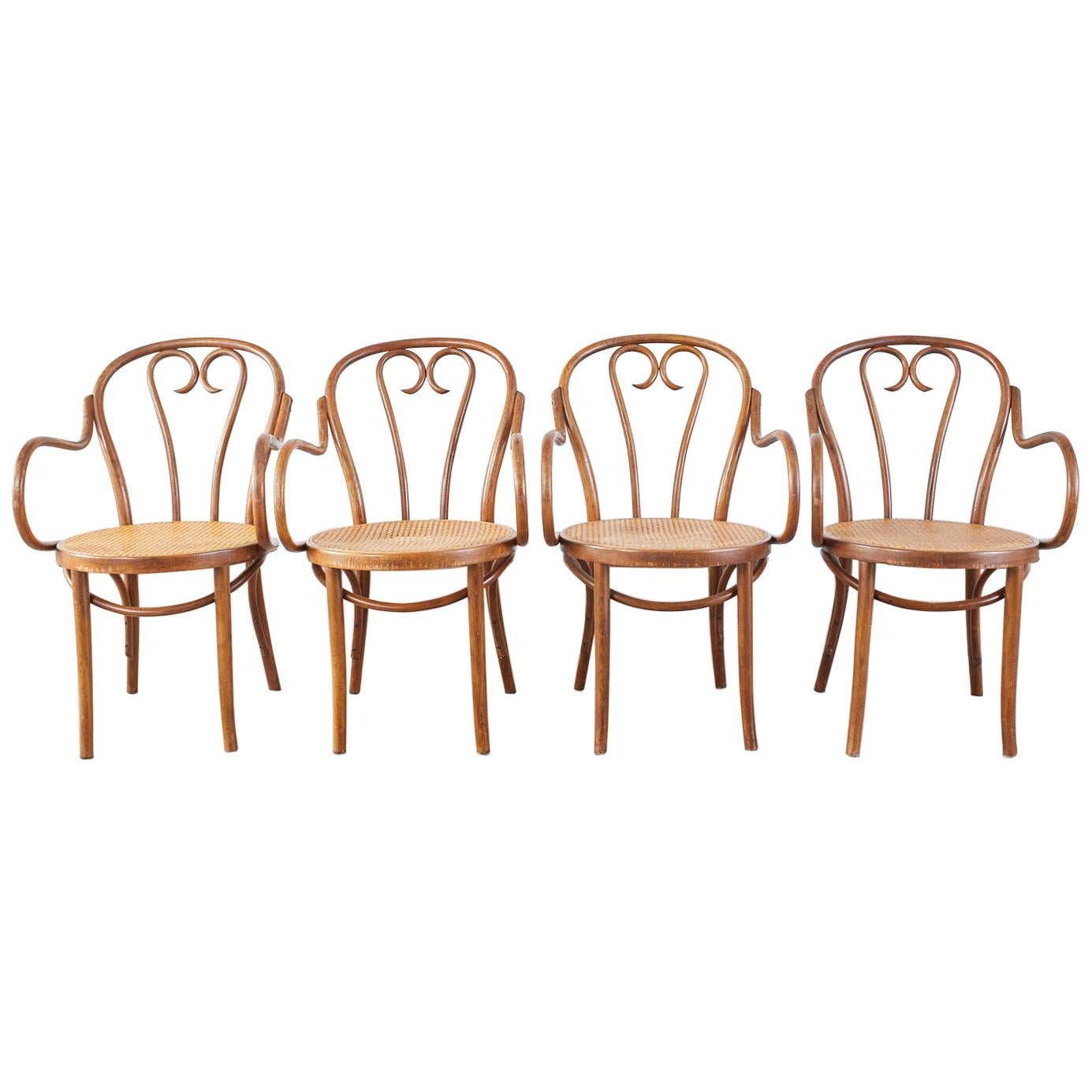 Satz von vier Sesseln aus Thonet-Stil mit Bugholz und Rohrgeflecht