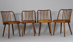 Set of Four Ton Chairs, Leather Upholstery, 1960s