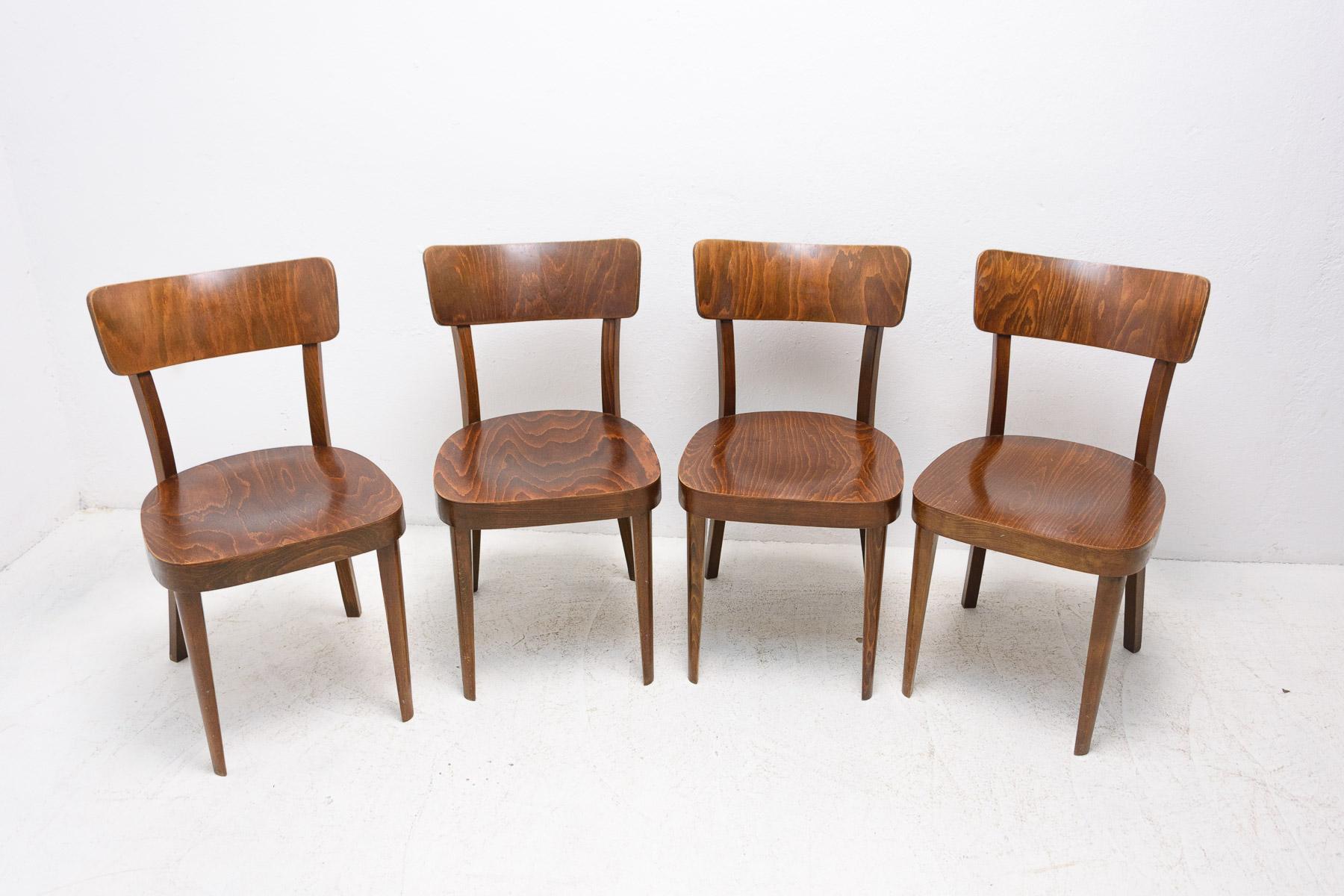 Mid-Century Modern Set of Four TON Dining Chairs, Czechoslovakia, 1950's