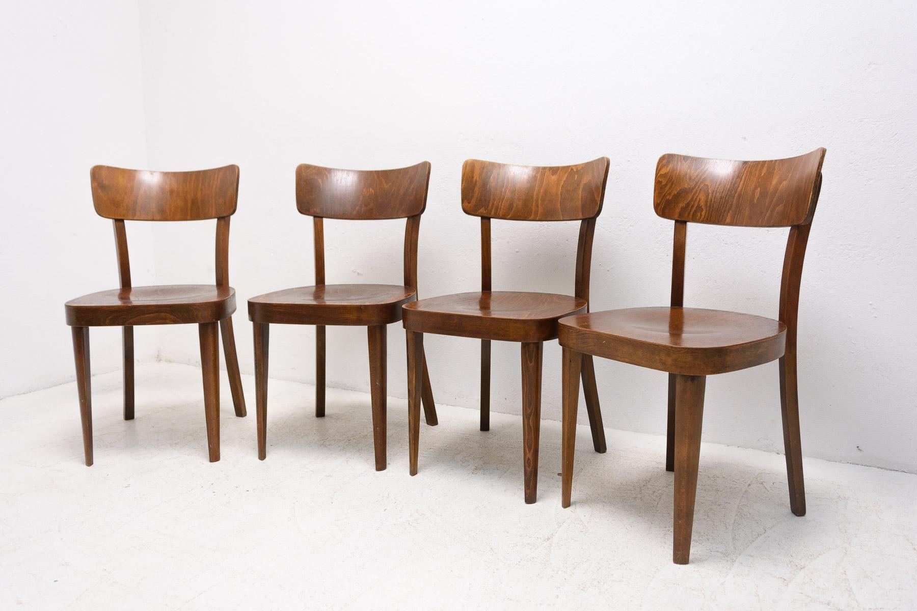 Veneer Set of Four TON Dining Chairs, Czechoslovakia, 1950's